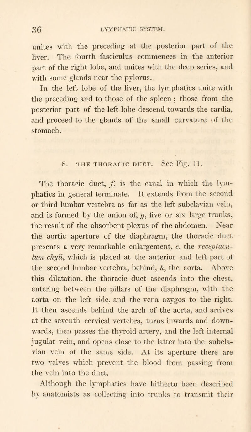 unites with the preceding at the posterior part of the liver. The fourth fasciculus commences in the anterior part of the right lobe, and unites with the deep series, and with some glands near the pylorus. In the left lobe of the liver, the lymphatics unite with the preceding and to those of the spleen ; those from the posterior part of the left lobe descend towards the cardia, and proceed to the glands of the small curvature of the stomach. 8. the thoracic nucT. See Fig. 11. The thoracic duct, f, is the canal in which the lym¬ phatics in general terminate. It extends from the second or third lumbar vertebra as far as the left subclavian vein, and is formed by the union of, g, five or six large trunks, the result of the absorbent plexus of the abdomen. Near the aortic aperture of the diaphragm, the thoracic duct presents a very remarkable enlargement, e, the receptacu- lum chyli, which is placed at the anterior and left part of the second lumbar vertebra, behind, h, the aorta. Above this dilatation, the thoracic duct ascends into the chest, entering between the pillars of the diaphragm, with the aorta on the left side, and the vena azygos to the right. It then ascends behind the arch of the aorta, and arrives at the seventh cervical vertebra, turns inwards and down¬ wards, then passes the thyroid artery, and the left internal jugular vein, and opens close to the latter into the subcla¬ vian vein of the same side. At its aperture there are two valves which prevent the blood from passing from the vein into the duct. Although the lymphatics have hitherto been described by anatomists as collecting into trunks to transmit their