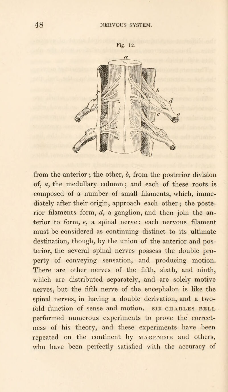 Fig. 12. from the anterior; the other, b, from the posterior division of, a, the medullary column; and each of these roots is composed of a number of small filaments, which, imme¬ diately after their origin, approach each other; the poste¬ rior filaments form, d, a ganglion, and then join the an¬ terior to form, e, a spinal nerve: each nervous filament must be considered as continuing distinct to its ultimate destination, though, by the union of the anterior and pos¬ terior, the several spinal nerves possess the double pro¬ perty of conveying sensation, and producing motion. There are other nerves of the fifth, sixth, and ninth, which are distributed separately, and are solely motive nerves, but the fifth nerve of the encephalon is like the spinal nerves, in having a double derivation, and a two¬ fold function of sense and motion, sir Charles bell performed numerous experiments to prove the correct¬ ness of his theory, and these experiments have been repeated on the continent by magendie and others, who have been perfectly satisfied with the accuracy of