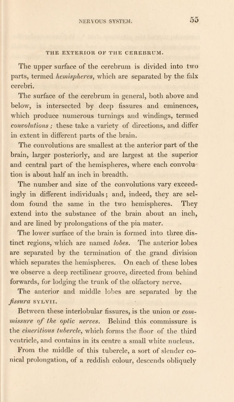 THE EXTERIOR OF THE CEREBRUM. The upper surface of the cerebrum is divided into two parts, termed hemispheres, which are separated by the falx cerebri. The surface of the cerebrum in general, both above and below, is intersected by deep fissures and eminences, which produce numerous turnings and windings, termed convolutions; these take a variety of directions, and difi'er in extent in different parts of the brain. The convolutions are smallest at the anterior part of the brain, larger posteriorly, and are largest at the superior and central part of the hemispheres, where each convolu tion is about half an inch in breadth. The number and size of the convolutions vary exceed¬ ingly in different individuals; and, indeed, they are sel¬ dom found the same in the two hemispheres. They extend into the substance of the brain about an inch, and are lined by prolongations of the pia mater. The lower surface of the brain is formed into three dis¬ tinct regions, which are named lobes. The anterior lobes are separated by the termination of the grand division which separates the hemispheres. On each of these lobes we observe a deep rectilinear groove, directed from behind forwards, for lodging the trunk of the olfactory nerve. The anterior and middle lobes are separated by the fissura sylvii. Between these interlobular fissures, is the union or com¬ missure of the optic nerves. Behind this commissure is the cineritious tubercle, which forms the floor of the third ventricle, and contains in its centre a small white nucleus. From the middle of this tubercle, a sort of slender co¬ nical prolongation, of a reddish colour, descends obliquely