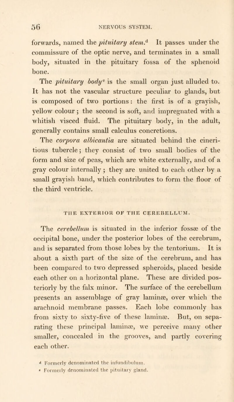 forwards, named the pituitary stem,d It passes under the commissure of the optic nerve, and terminates in a small body, situated in the pituitary fossa of the sphenoid bone. The pituitary bodye is the small organ just alluded to. It has not the vascular structure peculiar to glands, but is composed of two portions: the first is of a grayish, yellow colour; the second is soft, and impregnated with a whitish visced fluid. The pituitary body, in the adult, generally contains small calculus concretions. The corpora albicantia are situated behind the cineri- tious tubercle; they consist of two small bodies of the form and size of peas, which are white externally, and of a gray colour internally ; they are united to each other by a small grayish band, which contributes to form the floor of the third ventricle. THE EXTERIOR OF THE CEREBELLUM. The cerebellum is situated in the inferior fossee of the occipital bone, under the posterior lobes of the cerebrum, and is separated from those lobes by the tentorium. It is about a sixth part of the size of the cerebrum, and has been compared to two depressed spheroids, placed beside each other on a horizontal plane. These are divided pos¬ teriorly by the falx minor. The surface of the cerebellum presents an assemblage of gray laminae, over which the arachnoid membrane passes. Each lobe commonly has from sixty to sixty-five of these laminae. But, on sepa¬ rating these principal laminae, we perceive many other smaller, concealed in the grooves, and partly covering each other. •* Formerly denominated the infundibulum. • Formerly denominated the pituitary gland.