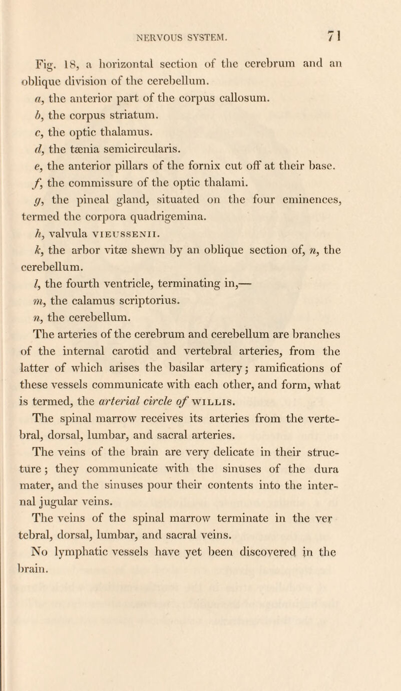 Fig. IS, a horizontal section of the cerebrum and an oblique division of the cerebellum. a, the anterior part of the corpus callosum. b, the corpus striatum. c, the optic thalamus. d, the taenia semicircularis. e, the anterior pillars of the fornix cut off at their base. f, the commissure of the optic thalami. g, the pineal gland, situated on the four eminences, termed the corpora quadrigemina. //, valvula vieussenii. k, the arbor vitse shewn by an oblique section of, n, the cerebellum. /, the fourth ventricle, terminating in,— m, the calamus scriptorius. n, the cerebellum. The arteries of the cerebrum and cerebellum are branches of the internal carotid and vertebral arteries, from the latter of which arises the basilar artery; ramifications of these vessels communicate with each other, and form, what is termed, the arterial circle of willis. The spinal marrow receives its arteries from the verte¬ bral, dorsal, lumbar, and sacral arteries. The veins of the brain are very delicate in their struc¬ ture ; they communicate with the sinuses of the dura mater, and the sinuses pour their contents into the inter¬ nal jugular veins. The veins of the spinal marrow terminate in the ver tebral, dorsal, lumbar, and sacral veins. No lymphatic vessels have yet been discovered in the brain.