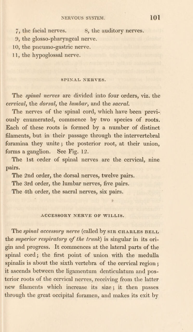 7, the facial nerves. 8, the auditory nerves. 9, the glosso-pharyngeal nerve. 10, the pneumo-gastric nerve. 11, the hypoglossal nerve. SPINAL, NERVES. The spinal nerves are divided into four orders, viz. the cervical, the dorsal, the lumbar, and the sacral. The nerves of the spinal cord, which have been previ¬ ously enumerated, commence by two species of roots. Each of these roots is formed by a number of distinct filaments, but in their passage through the intervertebral foramina they unite ; the posterior root, at their union, forms a ganglion. See Fig. 12. The 1st order of spinal nerves are the cervical, nine pairs. The 2nd order, the dorsal nerves, twelve pairs. The 3rd order, the lumbar nerves, five pairs. The 4th order, the sacral nerves, six pairs. ACCESSORY NERVE OF WILLIS. The spinal accessory nerve (called by sir ciiarles bell the superior respiratory of the trunk) is singular in its ori¬ gin and progress. It commences at the lateral parts of the spinal cord; the first point of union with the medulla spinalis is about the sixth vertebra of the cervical region; it ascends between the ligamentum denticulatum and pos¬ terior roots of the cervical nerves, receiving from the latter new filaments which increase its size; it then passes through the great occipital foramen, and makes its exit by