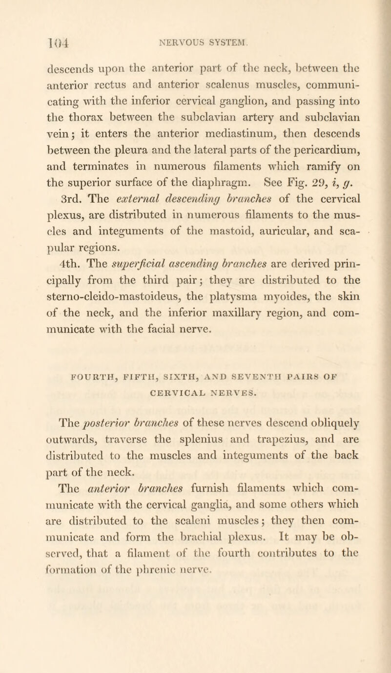 descends upon the anterior part of the neck, between the anterior rectus and anterior scalenus muscles, communi¬ cating with the inferior cervical ganglion, and passing into the thorax between the subclavian artery and subclavian vein; it enters the anterior mediastinum, then descends between the pleura and the lateral parts of the pericardium, and terminates in numerous filaments which ramify on the superior surface of the diaphragm. See Fig. 29, i, g. 3rd. The external descending branches of the cervical plexus, are distributed in numerous filaments to the mus¬ cles and integuments of the mastoid, auricular, and sca¬ pular regions. 4th. The superficial ascending branches are derived prin¬ cipally from the third pair; they are distributed to the sterno-cleido-mastoideus, the platysma myoides, the skin of the neck, and the inferior maxillary region, and com¬ municate with the facial nerve. FOURTH, FIFTH, SIXTH, AND SEVENTH PAIRS OF CERVICAL NERVES. The posterior branches of these nerves descend obliquely outwards, traverse the splenius and trapezius, and are distributed to the muscles and integuments of the back part of the neck. The anterior branches furnish filaments which com¬ municate with the cervical ganglia, and some others which are distributed to the scaleni muscles; they then com¬ municate and form the brachial plexus. It may be ob¬ served, that a filament of the fourth contributes to the formation of the phrenic nerve.