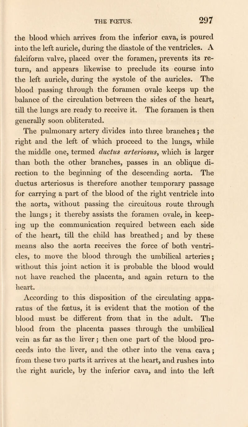 the blood which arrives from the inferior cava, is poured into the left auricle, during the diastole of the ventricles. A falciform valve, placed over the foramen, prevents its re¬ turn, and appears likewise to preclude its course into the left auricle, during the systole of the auricles. The blood passing through the foramen ovale keeps up the balance of the circulation between the sides of the heart, till the lungs are ready to receive it. The foramen is then generally soon obliterated. The pulmonary artery divides into three branches; the right and the left of which proceed to the lungs, while the middle one, termed ductus arteriosus, which is larger than both the other branches, passes in an oblique di¬ rection to the beginning of the descending aorta. The ductus arteriosus is therefore another temporary passage for carrying a part of the blood of the right ventricle into the aorta, without passing the circuitous route through the lungs; it thereby assists the foramen ovale, in keep¬ ing up the communication required between each side of the heart, till the child has breathed; and by these means also the aorta receives the force of both ventri¬ cles, to move the blood through the umbilical arteries; without this joint action it is probable the blood would not have reached the placenta, and again return to the heart. According to this disposition of the circulating appa¬ ratus of the foetus, it is evident that the motion of the blood must be different from that in the adult. The blood from the placenta passes through the umbilical vein as far as the liver; then one part of the blood pro¬ ceeds into the liver, and the other into the vena cava; from these two parts it arrives at the heart, and rushes into the right auricle, by the inferior cava, and into the left