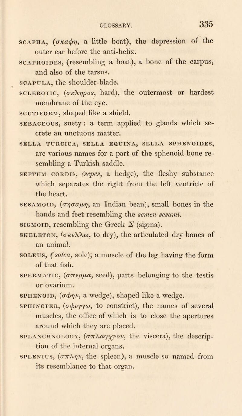 scapha, (cr/fa^)?;, a little boat), the depression of the outer ear before the anti-helix. scapiioides, (resembling a boat), a bone of the carpus, and also of the tarsus. scapula, the shoulder-blade. sclerotic, (cncXppos, hard), the outermost or hardest membrane of the eye. scutiform, shaped like a shield. sebaceous, suety: a term applied to glands which se¬ crete an unctuous matter. SELLA TURCICA, SELLA EQUINA, SELLA SPIIENOIDES, are various names for a part of the sphenoid bone re¬ sembling a Turkish saddle. septum cordis, (sepes, a hedge), the fleshy substance which separates the right from the left ventricle of the heart. sesamoid, (ar)o-apr), an Indian bean), small bones in the hands and feet resembling the semen sesami. sigmoid, resembling the Greek 2 (sigma). skeleton, (o/ceWa), to dry), the articulated dry bones of an animal. soleus, Csolea, sole), a muscle of the leg having the form of that fish. spermatic, (airep/xa, seed), parts belonging to the testis or ovarium. sphenoid, (o-^p, a wedge), shaped like a wedge. sphincter, (acfnyyco, to constrict), the names of several muscles, the office of which is to close the apertures around which they are placed. splanchnology, (a7r\ay%vop, the viscera), the descrip¬ tion of the internal organs. splenius, (cnr\7]P, the spleen), a muscle so named from its resemblance to that organ.