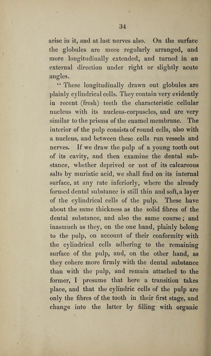 arise in it, and at last nerves also. On the surface the globules are more regularly arranged, and more longitudinally extended, and turned in an external direction under right or slightly acute anodes. “ These longitudinally drawn out globules are plainly cylindrical cells. They contain very evidently in recent (fresh) teeth the characteristic cellular nucleus with its nucleus-corpuscles, and are very similar to the prisms of the enamel membrane. The interior of the pulp consists of round cells, also with a nucleus, and between these cells run vessels and nerves. If we draw the pulp of a young tooth out of its cavity, and then examine the dental sub¬ stance, whether deprived or not of its calcareous salts by muriatic acid, we shall find on its internal surface, at any rate inferiorly, where the already formed dental substance is still thin and soft,a layer of the cylindrical cells of the pulp. These have about the same thickness as the solid fibres of the dental substance, and also the same course; and inasmuch as they, on the one hand, plainly belong to the pulp, on account of their conformity with the cylindrical cells adhering to the remaining surface of the pulp, and, on the other hand, as they cohere more firmly with the dental substance than with the pulp, and remain attached to the former, I presume that here a transition takes place, and that the cylindric cells of the pulp are only the fibres of the tooth in their first stage, and change into the latter by filling with organic