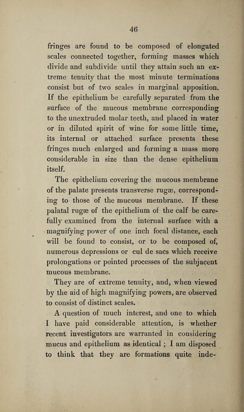fringes are found to be composed of elongated scales connected together, forming masses which divide and subdivide until they attain such an ex¬ treme tenuity that the most minute terminations consist but of two scales in marginal apposition. If the epithelium be carefully separated from the surface of the mucous membrane corresponding to the unextruded molar teeth, and placed in water or in diluted spirit of wine for some little time, its internal or attached surface presents these fringes much enlarged and forming a mass more considerable in size than the dense epithelium itself. The epithelium covering the mucous membrane of the palate presents transverse rugae, correspond¬ ing to those of the mucous membrane. If these palatal rugae of the epithelium of the calf be care¬ fully examined from the internal surface with a magnifying power of one inch focal distance, each will be found to consist, or to be composed of, numerous depressions or cul de sacs which receive prolongations or pointed processes of the subjacent mucous membrane. They are of extreme tenuity, and, when viewed by the aid of high magnifying powers, are observed to consist of distinct scales. A question of much interest, and one to which I have paid considerable attention, is whether recent investigators are warranted in considering mucus and epithelium as identical ; I am disposed to think that they are formations quite inde-