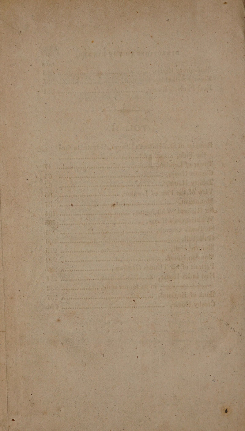 et Le oe AE sti Oa bp - “yes et ER Vo AE W wont Ue FR Bo Cal ‘ APR TS Aiea) a ists RAO EG Re : . txt (> gyi’ Ran sh oeet Le Ged jb WHER Me RN ERMA Hess BOGOR EHF S Ke 4 . Be Re eae Saree ie aa 2 t ao rao aa  ¥ ‘ s ’ &amp; 7 os y oad WD oe Ra =n ; : ; : } See TEAS SY ORS oe “ 7 re Oe ee eo We HEAL IA ek ee j ‘ ai F . Re : Nes 4 a Pat oy ake » eri ot ae 5 bye of SUPE TELON : ‘ veins bp Ed AA PAV 4: b0e¥: * <p ky Dyas Pye at RAR ae cia ec aea an aN af 3 s Ae We ‘ +h RC Peon oS LF Raa OCR WES Fe ERE T ORT ARPA REA RNR Y Aa: biti ¥ eon Fay VO as PRES hae Shey rE yt SMe eet oe oh WNP Ching # ae