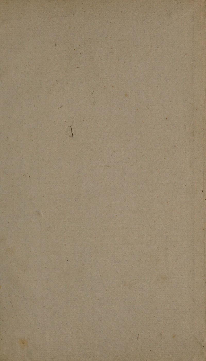 pe esha gra PL Yee Pa, NOE it ae oe AON AEE i yh yh ent ic) cull ‘Wes WL’ Beis Sa) as