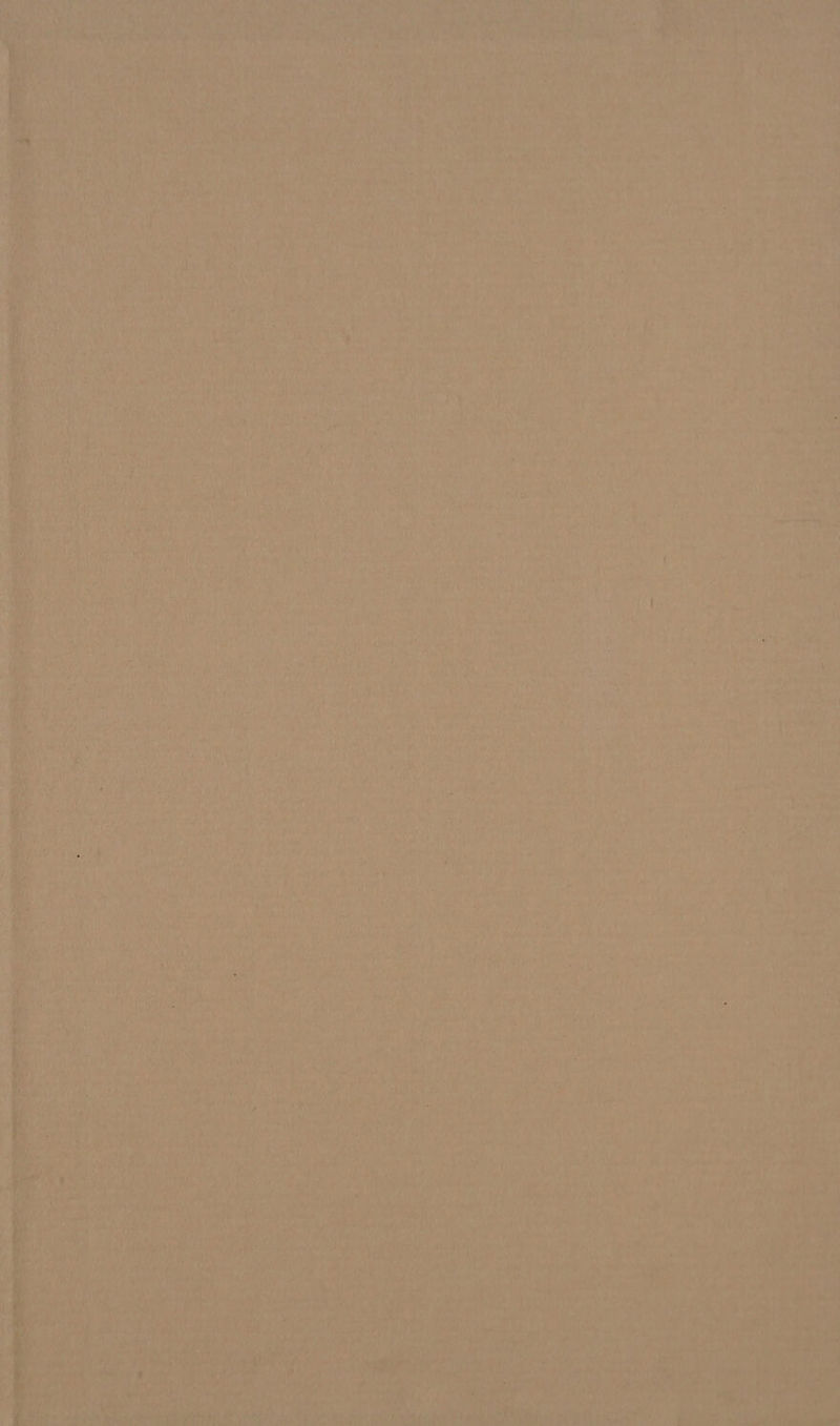 wy ‘pti ay ito Wit ae) / ba ie Al) fi ot WP pees ee * Hees ‘ VES Pre aie, / i Wg bY i ee Vee Sais J be » Me