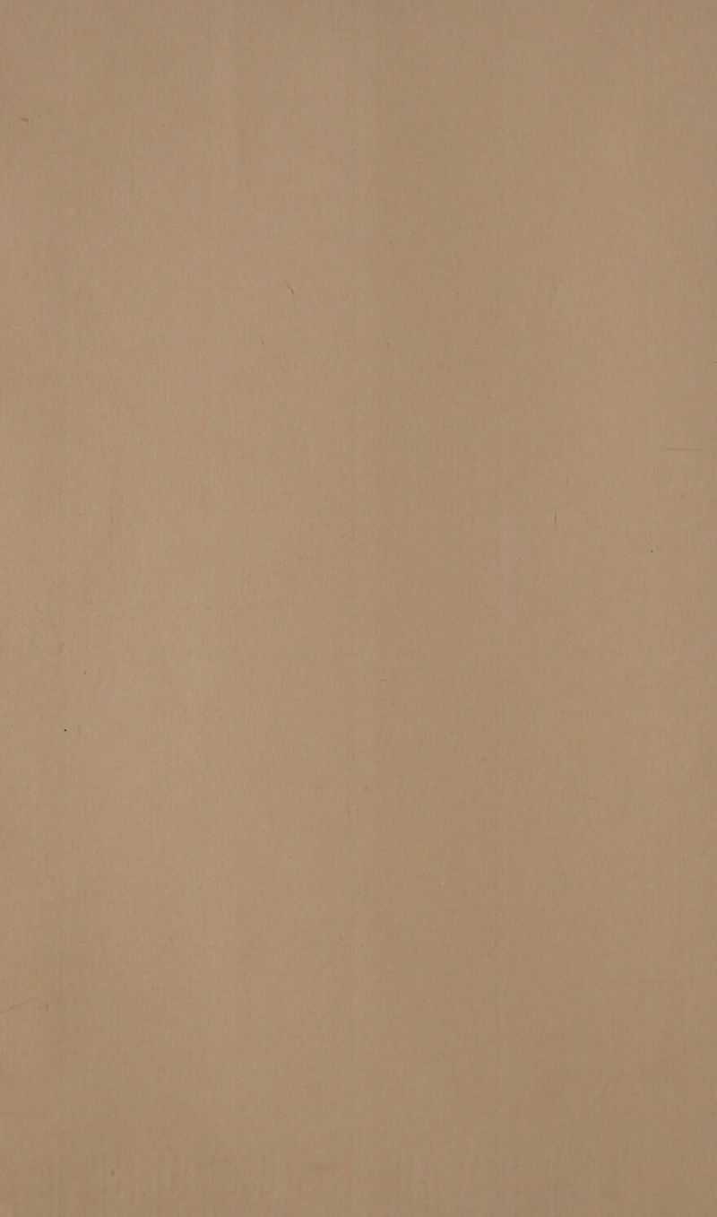    Teva a~ ; ° 4 ? q Ph he te ; } wey Wie. be fe 4 ) : Ye ! iy |,” yi vee stab tea : hit “ht a) ie e v4 i ; ey i Poo OE ie ight : iy po wa Ba ae aie cd | ti AP te aoe Bag te ; \¢ poe oh tt : \ ie dx “aad 3 \ Aa a oF i Sal  v Pas Mer pet ‘ Pi tncd vi          oy nar : bee a a ; ys Nour Beat og    i : , 4) ' : 7 § , ; ‘ ) , se a i f ? ® j rf ‘ ; 4 * ‘ ’ é yt j i 4 j d ' ’ e