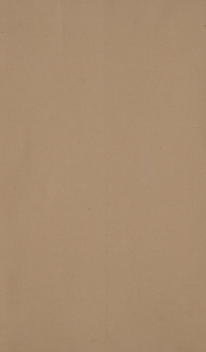 k Chee aa hs , AN } Saas Are Ce Rie ; h ‘ Mie tie t ale CL An ey ly Ss end ne ”~ rely ie vt epitetyt V2 pod | var 