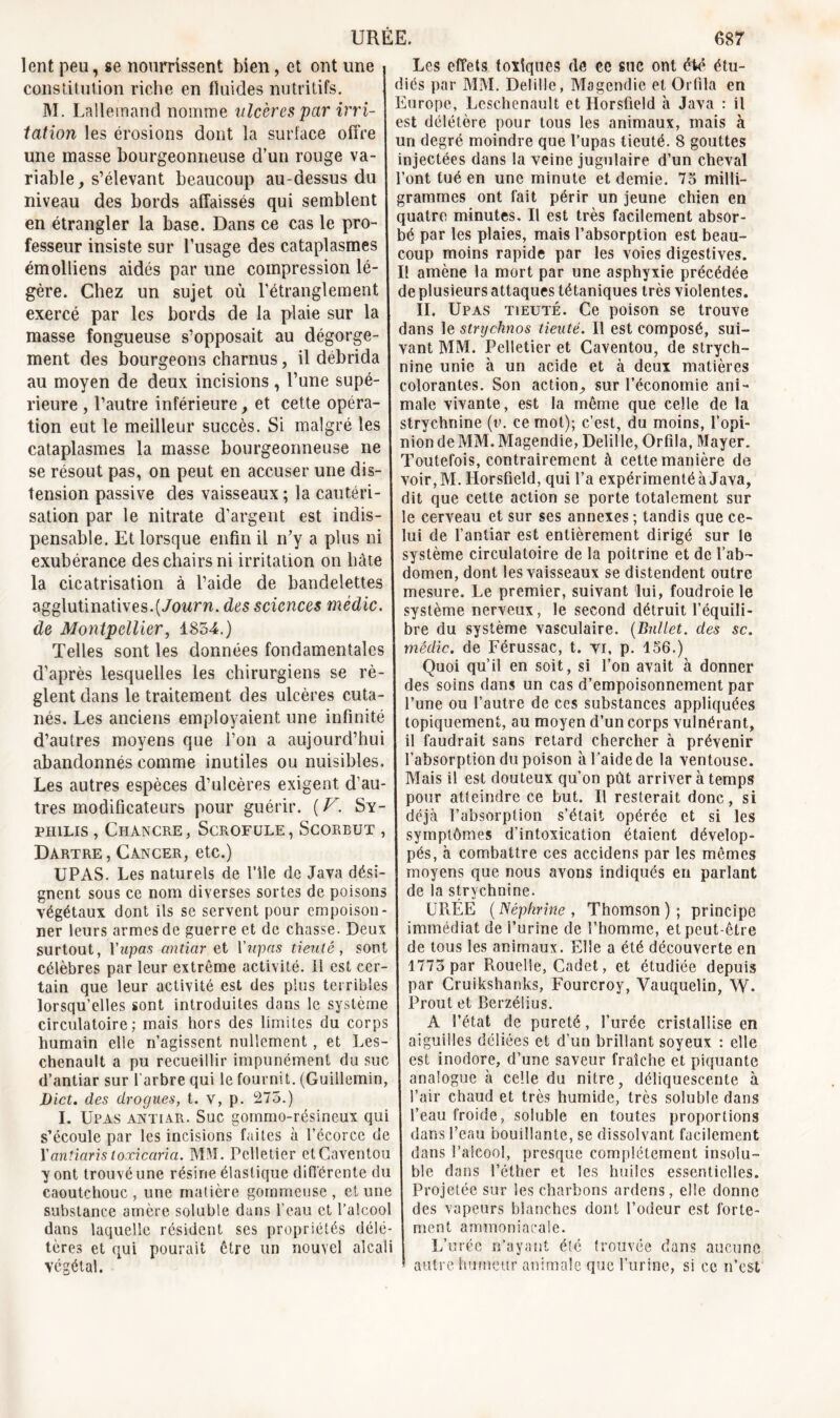 UREE. lent peu, te nourrissent bien, et ont une constitution riche en fluides nutritifs. M. Lallemand nomme ulcères par irri- tation les érosions dont la surface offre une masse bourgeonneuse d’un rouge va- riable, s’élevant beaucoup au-dessus du niveau des bords affaissés qui semblent en étrangler la base. Dans ce cas le pro- fesseur insiste sur l’usage des cataplasmes émolliens aidés par une compression lé- gère. Chez un sujet où l’étranglement exercé par les bords de la plaie sur la masse fongueuse s’opposait au dégorge- ment des bourgeons charnus, il débrida au moyen de deux incisions , l’une supé- rieure , l’autre inférieure, et cette opéra- tion eut le meilleur succès. Si malgré les cataplasmes la masse bourgeonneuse ne se résout pas, on peut en accuser une dis- tension passive des vaisseaux; la cautéri- sation par le nitrate d'argent est indis- pensable. Et lorsque enfin il n’y a plus ni exubérance des chairs ni irritation on hâte la cicatrisation à l’aide de bandelettes agglutinatives.(Journ. des sciences médic. de Montpellier, 1854.) Telles sont les données fondamentales d’après lesquelles les chirurgiens se rè- glent dans le traitement des ulcères cuta- nés. Les anciens employaient une infinité d’autres moyens que l’on a aujourd’hui abandonnés comme inutiles ou nuisibles. Les autres espèces d’ulcères exigent d'au- tres modificateurs pour guérir. ( V. Sy- philis , Chancre, Scrofule, Scorbut , Dartre , Cancer, etc.) UPAS. Les naturels de l’île de Java dési- gnent sous ce nom diverses sortes de poisons végétaux dont ils se servent pour empoison- ner leurs armes de guerre et de chasse. Deux surtout, Yupas antiar et Y upas tienté, sont célèbres par leur extrême activité. Il est cer- tain que leur activité est des plus terribles lorsqu’elles sont introduites dans le système circulatoire; mais hors des limites du corps humain elle n’agissent nullement, et Les- chenault a pu recueillir impunément du suc d’antiar sur l’arbre qui le fournit. (Guiilemin, Dict. des drogues, t. v, p. 275.) I. Upas antiar. Suc gommo-résineux qui s’écoule par les incisions faites à l’écorce de Yantiaris loxicaria. MM. Pelletier etCaventou y ont trouvé une résine élastique différente du caoutchouc , une matière gommeuse , et une substance amère soluble dans l’eau et l’alcool dans laquelle résident scs propriétés délé- tères et qui pourait être un nouvel alcali végétal. 687 Les effets toxiques de ce suc ont été étu- diés par MM. Delille, Magendie et Orfila en Europe, Leschenault et Horsfield à Java : il est délétère pour tous les animaux, mais à un degré moindre que l’upas tieuté. 8 gouttes injectées dans la veine jugulaire d’un cheval l’ont tué en une minute et demie. 75 milli- grammes ont fait périr un jeune chien en quatre minutes. Il est très facilement absor- bé par les plaies, mais l’absorption est beau- coup moins rapide par les voies digestives. Il amène la mort par une asphyxie précédée de plusieurs attaques tétaniques très violentes. IL Upas tieuté. Ce poison se trouve dans le strychnos tienté. Il est composé, sui- vant MM. Pelletier et Caventou, de strych- nine unie à un acide et à deux matières colorantes. Son action^ sur l’économie ani- male vivante, est la même que celle de la strychnine (v. ce mot); c’est, du moins, l’opi- nion de MM. Magendie, Delille, Orfila, Mayer. Toutefois, contrairement à cette manière de voir,M. Horsfield, qui l’a expérimenté à Java, dit que cette action se porte totalement sur le cerveau et sur ses annexes; tandis que ce- lui de l’antiar est entièrement dirigé sur le système circulatoire de la poitrine et de l’ab- domen, dont les vaisseaux se distendent outre mesure. Le premier, suivant lui, foudroie le système nerveux, le second détruit l’équili- bre du système vasculaire. (Bnllet. des sc. médic. de Férussac, t. vi, p. 156.) Quoi qu’il en soit, si l’on avait à donner des soins dans un cas d’empoisonnement par l’une ou l’autre de ces substances appliquées topiquement, au moyen d’un corps vulnérant, il faudrait sans retard chercher à prévenir l’absorption du poison à l’aide de la ventouse. Mais il est douteux qu’on pût arriver à temps pour atteindre ce but. Il resterait donc, si déjà l’absorption s’était opérée et si les symptômes d’intoxication étaient dévelop- pés, à combattre ces accidens par les mêmes moyens que nous avons indiqués en parlant de la strychnine. URÉE (Néphrine , Thomson); principe immédiat de l’urine de l’homme, et peut-être de tous les animaux. Elle a été découverte en 1775 par Rouelle, Cadet, et étudiée depuis par Cruikshanks, Fourcroy, Vauquelin, W. Prout et Berzéüus. A l’état de pureté, l’urée cristallise en aiguilles déliées et d’un brillant soyeux : elle est inodore, d’une saveur fraîche et piquante analogue à celle du nitre, déliquescente à l’air chaud et très humide, très soluble dans l’eau froide, soluble en toutes proportions dans l’eau bouillante, se dissolvant facilement dans l’alcool, presque complètement insolu- ble dans l’éther et les huiles essentielles. Projetée sur les charbons ardens, elle donne des vapeurs blanches dont l’odeur est forte- ment ammoniacale. L’urée n’ayant été trouvée dans aucune autre humeur animale que l’urine, si ce n’est