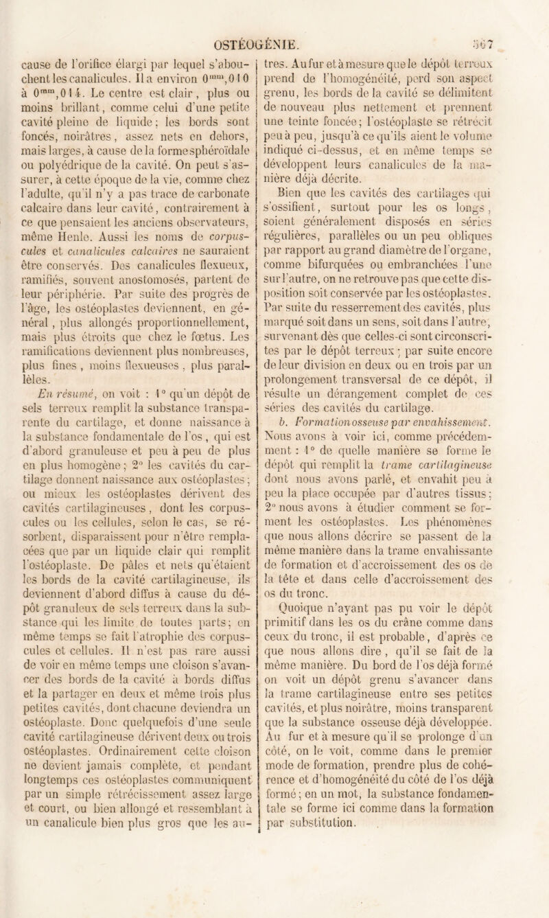 cause de l'orifice élargi par lequel s’abou- | très. Au fur et à mesure que le dépôt terreux chent les canalicules. lia environ 0mu\0t 0 | prend de T homogénéité, perd son aspect à Omm,OI4. Le centre est clair, plus ou | grenu, les bords delà cavité se délimitent de nouveau plus nettement et prennent une teinte foncée; Lostéoplaste se rétrécit moins brillant, comme celui d'une petite cavité pleine de liquide ; les bords sont foncés, noirâtres, assez nets en dehors, mais larges, à cause delà forme sphéroïdale ou polyédrique de la cavité. On peut s'as- surer, à cette époque de la vie, comme chez l'adulte, qu’il n’y a pas trace de carbonate calcaire dans leur cavité, contrairement à ce que pensaient les anciens observateurs, même Henle. Aussi les noms de corpus- cules et canalicules calcaires ne sauraient être conservés. Des canalicules flexueux, ramifiés, souvent anostomosés, partent de leur périphérie. Par suite des progrès de l’âge, les ostéoplastes deviennent, en gé- néral , plus allongés proportionnellement, mais plus étroits que chez le fœtus. Les ramifications deviennent plus nombreuses, plus fines , moins flexueuses , plus paral- lèles. En résumé, on voit : i° qu'un dépôt de sels terreux remplit la substance transpa- rente du cartilage, et donne naissance à la substance fondamentale de l’os , qui est d’abord granuleuse et peu à peu de plus en plus homogène ; 2° les cavités du car- tilage donnent naissance aux ostéoplastes ; ou mieux les ostéoplastes dérivent des cavités cartilagineuses, dont les corpus- cules ou les cellules, selon le cas, se ré- sorbent, disparaissent pour n’être rempla- cées que par un liquide clair qui remplit lostéoplaste. De pâles et nets qu'étaient les bords de la cavité cartilagineuse, ils deviennent d’abord diffus à cause du dé- pôt granuleux de sels terreux dans la sub- stance qui les limite de toutes parts; on même temps se fait l’atrophie des corpus- cules et cellules. Il n’est pas rare aussi de voir en même temps une cloison s’avan- cer des bords de la. cavité à bords diffus et la partager en deux et même trois plus petites cavités, dont chacune deviendra un ostéoplaste. Donc quelquefois d’une seule cavité cartilagineuse dérivent deux ou trois ostéoplastes. Ordinairement cette cloison ne devient jamais complète, et pendant longtemps ces ostéoplastes communiquent par un simple rétrécissement assez large j et court, ou bien allongé et ressemblant à un canalicule bien plus gros que les au- peu à peu, jusqu’à ce qu’ils aient le volume indiqué ci-dessus, et en même temps se développent leurs canalicules de la ma- nière déjà décrite. Bien que les cavités des cartilages qui s’ossifient, surtout pour les os longs, soient généralement disposés en séries régulières, parallèles ou un peu obliques par rapport au grand diamètre de l'organe, comme bifurquées ou embranchées l’une sur l’autre, on ne retrouve pas que cette dis- position soit conservée par les ostéoplastes. Par suite du resserrement des cavités, plus marqué soit dans un sens, soit dans l’autre, survenant dès que celles-ci sont circonscri- tes par le dépôt terreux * par suite encore de leur division en deux ou en trois par un prolongement transversal de ce dépôt, il résulte un dérangement complet de ces séries des cavités du cartilage. b. Forma lion osseuse par envahissement. Nous avons à voir ici, comme précédem- ment : \0 de quelle manière se forme ie dépôt qui remplit la trame cartilagineuse dont nous avons parlé, et envahit peu à peu la place occupée par d’autres tissus ; 2° nous avons à étudier comment se for- ment les ostéoplastes. Les phénomènes que nous allons décrire se passent de la même manière dans la trame envahissante de formation et d’accroissement des os de la tête et dans celle d’accroissement des os du tronc. Quoique n’ayant pas pu voir le dépôt primitif dans les os du crâne comme dans ceux du tronc, il est probable, d’après ce que nous allons dire , qu’il se fait de ïa même manière. Du bord de l’os déjà formé on voit un dépôt grenu s’avancer dans la trame cartilagineuse entre ses petites cavités, et plus noirâtre, moins transparent que la substance osseuse déjà développée. Au fur et à mesure qu’il se prolonge d un côté, on le voit, comme dans le premier mode de formation, prendre plus de cohé- rence et d’homogénéité du côté de l’os déjà formé; en un mot, la substance fondamen- tale se forme ici comme dans la formation par substitution.