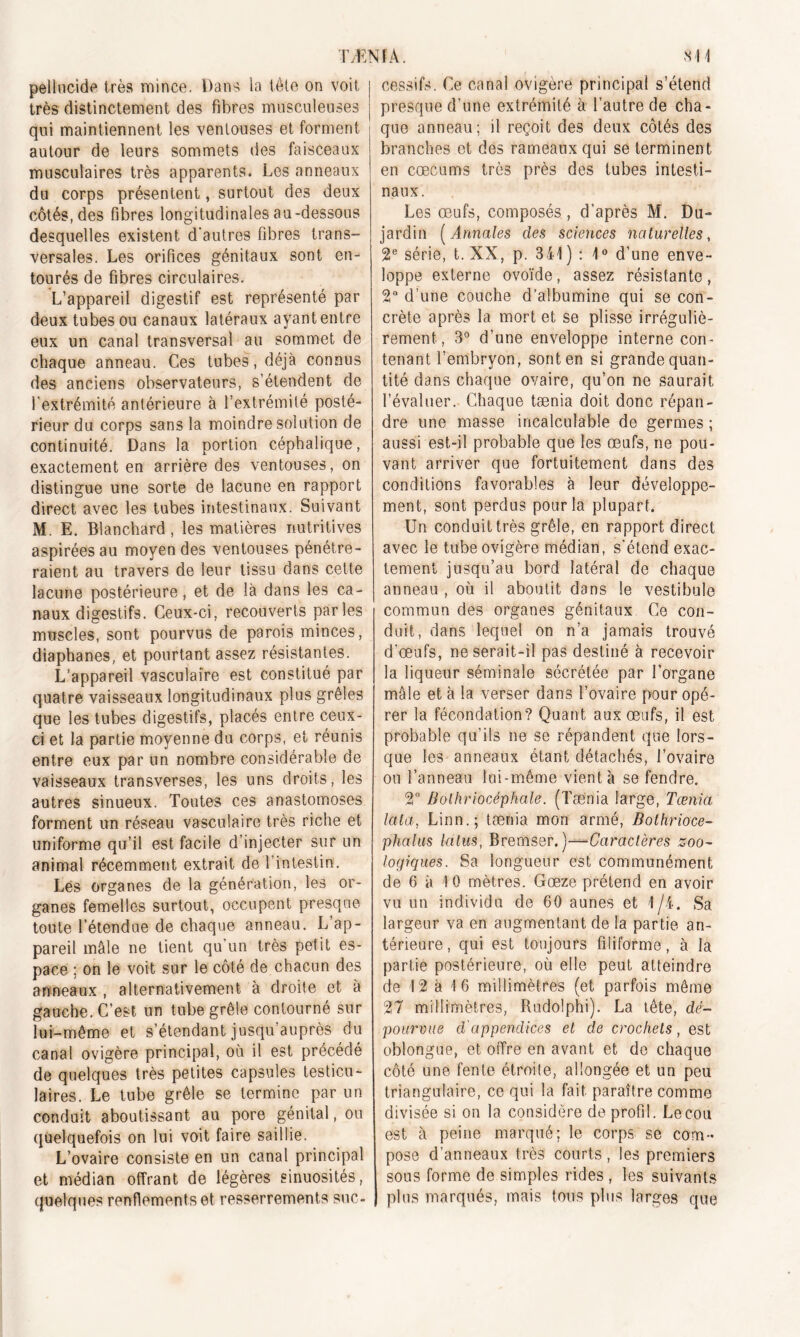 pellucide très mince. Dans la tête on voit très distinctement des fibres musculeuses qui maintiennent les ventouses et forment autour de leurs sommets des faisceaux musculaires très apparents. Les anneaux du corps présentent, surtout des deux côtés, des fibres longitudinales au-dessous desquelles existent d'autres fibres trans- versales. Les orifices génitaux sont en- tourés de fibres circulaires. L’appareil digestif est représenté par deux tubes ou canaux latéraux ayant entre eux un canal transversal au sommet de chaque anneau. Ces tubes, déjà connus des anciens observateurs, s’étendent de l'extrémité antérieure à l’extrémité posté- rieur du corps sans la moindre solution de continuité. Dans la portion céphalique, exactement en arrière des ventouses, on distingue une sorte de lacune en rapport direct avec les tubes intestinaux. Suivant M. E. Blanchard, les matières nutritives aspirées au moyen des ventouses pénétre- raient au travers de leur tissu dans cette lacune postérieure, et de là dans les ca- naux digestifs. Ceux-ci, recouverts parles muscles, sont pourvus de parois minces, diaphanes, et pourtant assez résistantes. L’appareil vasculaire est constitué par quatre vaisseaux longitudinaux plus grêles que les tubes digestifs, placés entre ceux- ci et la partie moyenne du corps, et réunis entre eux par un nombre considérable de vaisseaux transverses, les uns droits, les autres sinueux. Toutes ces anastomoses forment un réseau vasculaire très riche et uniforme qu’il est facile d’injecter sur un animal récemment extrait de l’intestin. Lés organes de la génération, les or- ganes femelles surtout, occupent presque tonte l’étendue de chaque anneau. L ap- pareil mâle ne tient qu’un très petit es- pace ; on le voit sur le côté de chacun des anneaux , alternativement à droite et à gauche. C’est un tube grêle contourné sur lui-même et s’étendant jusqu’auprès du canal ovigère principal, où il est précédé de quelques très petites capsules testicu- laires. Le tube grêle se termine par un conduit aboutissant au pore génital, ou quelquefois on lui voit faire saillie. L’ovaire consiste en un canal principal et médian offrant de légères sinuosités, cessifs. Ce canal ovigère principal s’étend presque d’une extrémité à l’autre de cha- que anneau; il reçoit des deux côtés des branches et des rameaux qui se terminent en cæcums très près des tubes intesti- naux. Les œufs, composés, d’après M. Du- jardin ( Annales des sciences naturelles, 2e série, t. XX, p. 341) : 1° d’une enve- loppe externe ovoïde, assez résistante, 2° d’une couche d’albumine qui se con- crète après la mort et se plisse irréguliè- rement, 3° d’une enveloppe interne con- tenant l’embryon, sont en si grande quan- tité dans chaque ovaire, qu’on ne saurait l’évaluer. Chaque tænia doit donc répan- dre une masse incalculable de germes ; aussi est-il probable que les œufs, ne pou- vant arriver que fortuitement dans des conditions favorables à leur développe- ment, sont perdus pour la plupart. Un conduit très grêle, en rapport direct avec le tube ovigère médian, s'étend exac- tement jusqu’au bord latéral de chaque anneau , où il aboutit dans le vestibule commun des organes génitaux Ce con- duit, dans lequel on n’a jamais trouvé d’œufs, ne serait-il pas destiné à recevoir la liqueur séminale sécrétée par l’organe mâle et à la verser dans l’ovaire pour opé- rer la fécondation? Quant, aux œufs, il est probable qu’ils ne se répandent que lors- que les anneaux étant détachés, l’ovaire ou l’anneau lui-même vient à se fendre. 2° B o Uni acéphale. (Tænia large, Tænici IcUa, Linn.; tænia mon armé, Bothrioce- phalus laïus, Bremser. )—Caractères zoo- logiques. Sa longueur est communément de 6 à 10 mètres. Gœze prétend en avoir vu un individu de 60 aunes et 1/4. Sa largeur va en augmentant de la partie an- térieure, qui est toujours filiforme, à la partie postérieure, où elle peut atteindre de 12 à 16 millimètres (et parfois même 27 millimètres, Rudolphi). La tête, dé- pourvue d'appendices et de crochets, est oblongue, et offre en avant et de chaque côté une fente étroite, allongée et un peu triangulaire, ce qui la fait paraître comme divisée si on la considère de profil. Le cou est à peine marqué; le corps se com- pose d’anneaux très courts, les premiers sous forme de simples rides , les suivants