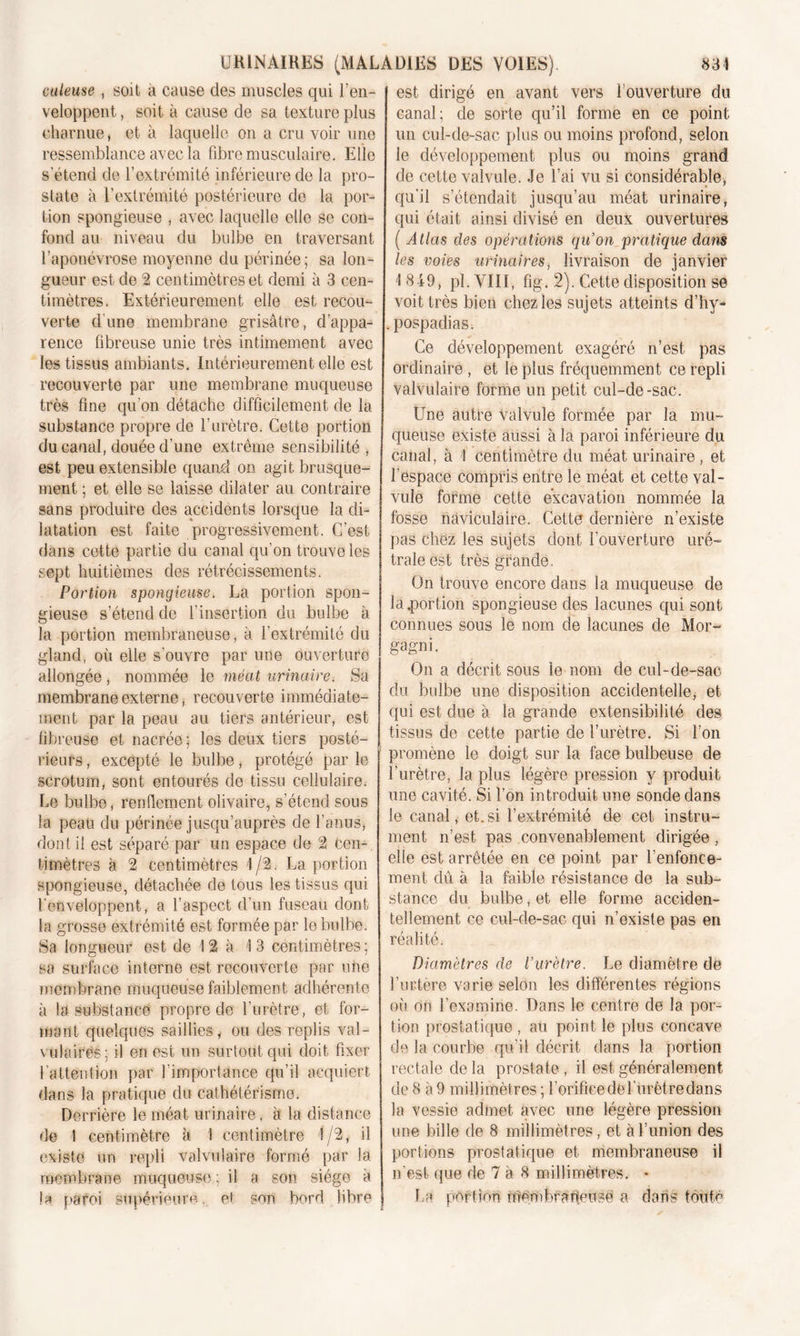 culeuse , soit à cause des muscles qui l’en- veloppent , soit à cause de sa texture plus charnue, et à laquelle on a cru voir une ressemblance avec la fibre musculaire. Elle s’étend de l’extrémité inférieure de la pro- state à l’extrémité postérieure de la por- tion spongieuse , avec laquelle elle se con- fond au niveau du bulbe en traversant l’aponévrose moyenne du périnée; sa lon- gueur est de 2 centimètres et demi à 3 cen- timètres. Extérieurement elle est recou- verte dune membrane grisâtre, d’appa- rence fibreuse unie très intimement avec les tissus ambiants. Intérieurement elle est recouverte par une membrane muqueuse très fine qu’on détache difficilement de la substance propre de l’urètre. Cette portion du canal, douée d'une extrême sensibilité, est peu extensible quand on agit brusque- ment ; et elle se laisse dilater au contraire sans produire des accidents lorsque la di- latation est faite progressivement. C’est dans cette partie du canal qu’on trouve les sept huitièmes des rétrécissements. Portion spongieuse. La portion spon- gieuse s’étend de l'insertion du bulbe à la portion membraneuse, à l’extrémité du gland, où elle s’ouvre par une ouverture allongée, nommée le méat urinaire. Sa membrane externe, recouverte immédiate- ment par la peau au tiers antérieur, est fibreuse et nacrée; les deux tiers posté- rieurs , excepté le bulbe, protégé par le scrotum, sont entourés de tissu cellulaire. Le bulbe, renflement olivaire, s’étend sous la peau du périnée jusqu’auprès de l’anus, dont il est séparé par un espace de 2 cen-, timètres à 2 centimètres 1/2. La portion spongieuse, détachée de tous les tissus qui l’enveloppent, a l’aspect d’un fuseau dont la grosse extrémité est formée par le bulbe. 8a longueur est de 12 à 13 centimètres; sa surface interne est recouverte par une membrane muqueuse faiblement adhérente à ta substance propre de l'urètre, et for- mant quelques saillies y ou des replis val- vulaires; il en est un surtout qui doit fixer l’attention par l’importance qu’il acquiert dans la pratique du cathétérisme. Derrière le méat urinaire, à la distance de 1 centimètre à I centimètre 1/2, il existe un repli valvulaire formé par la membrane muqueuse ; il a son siège à la paroi supérieure. et son bord libre est dirigé en avant vers Couverture du canal; de sorte qu’il forme en ce point un cul-de-sac plus ou moins profond, selon le développement plus ou moins grand de cette valvule. Je l’ai vu si considérable, qu'il s’étendait jusqu’au méat urinaire, qui était ainsi divisé en deux ouvertures ( Atlas des opérations qu’on pratique dans les voies urinaires, livraison de janvier 1849, pl.VIII, fig. 2). Cette disposition se voit très bien chez les sujets atteints d’hy- . pospadias. Ce développement exagéré n’est pas ordinaire , et le plus fréquemment ce repli valvulaire forme un petit cul-de-sac. Une autre valvule formée par la mu- queuse existe aussi à la paroi inférieure du canal, à 1 centimètre du méat urinaire, et l’espace compris entre le méat et cette val- vule forme cette excavation nommée la fosse naviculaire. Cette dernière n’existe pas chez les sujets dont l’ouverture uré- traie est très grande. On trouve encore dans la muqueuse de la.portion spongieuse des lacunes qui sont connues sous le nom de lacunes de Mon- gagni. On a décrit sous le nom de cul-de-sac du bulbe une disposition accidentelle, et qui est due à la grande extensibilité des tissus de cette partie de l’urètre. Si l’on promène le doigt sur la face bulbeuse de l’urètre, la plus légère pression y produit une cavité. Si l’on introduit une sonde dans le canal, et.si l’extrémité de cet instru- ment n’est pas convenablement dirigée, elle est arrêtée en ce point par l’enfonce- ment dû à la faible résistance de la sub- stance du bulbe, et elle forme acciden- tellement ce cul-de-sac qui n’existe pas en réalité. Diamètres de l’urètre. Le diamètre de l’urtère varie selon les différentes régions où on l’examine. Dans le centre de la por- tion prostatique , au point le plus concave de la courbe qu’il décrit dans la portion rectale de la prostate , il est généralement, de 8 à 9 millimètres ; l’orifice de l’urètre dans la vessie admet avec une légère pression une bille de 8 millimètres, et à l’union des portions prostatique et membraneuse il n’est que de 7 à 8 millimètres. • La portion membraneuse a dans toute