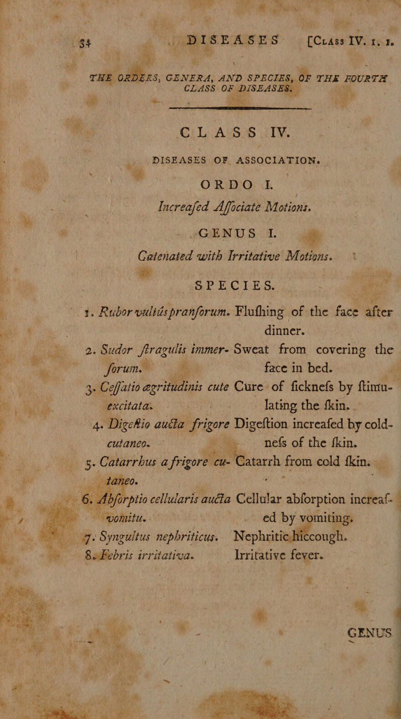 ae = % = re E ee * ¥ € se ~ ey a.% ise Wine Magsty y af is. E ii ES” 6 ECrées LY te. © 0 DERS | GENERA, AND SPECIE 5, OF THE FOURTH CLASS: on SEAS aa | a4, wi RO is ‘DISEASES OF ASSOCIATION. | oh aa a ‘a 3 | | a re is ORDO I. ae me 3 Increafed Affociate Motions. a 4 GENUS. Catenated with tepid M ations. t yy hy 5 . SPECIES. fee hae er ae a Rubor wliis pranforum. Flofhing ot the face after a a dinner. 2. Sudor pres immer- Sweat from covering the forum. | face in bed. 2 i 3. Ce efjatio agrituc nis cute Cure of ficknefs by ftimu-— excitata. ea eo. 4 Jatine thean, 4. DigeRio autinpricre Digeftion increafed hy cold- cutanco. ~-nefs of the fkin. et 4 Daw selivlaris walt Cellular abforption increaf- pomitu. Del al ea 6) f a : gy. Syngultus nephriticus. Nephritic hi h | SeBebris irritativa. — _ Irritative fever.
