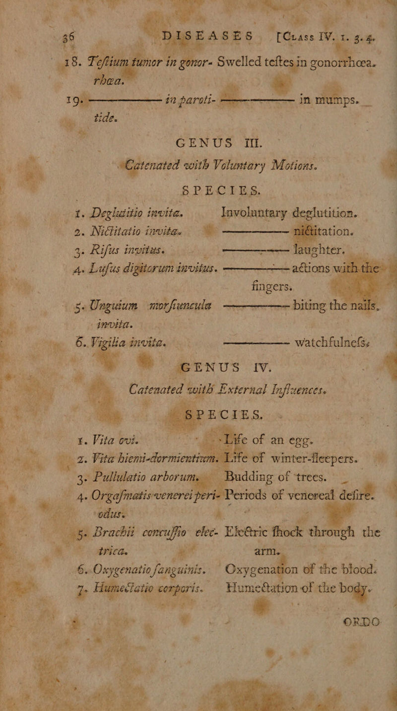 Fa epee te NE ag m peso ¥ [Crass 1. os umor in gonor- Swelled cd tea gono cea. % gtr a tS ee ; = eats i et A — - in ss. ny GENUS Mf. “Catenated sad Voluntary Mi: otions. SPECIES. : fed eekly 1. Degltitio invite. . fovolantary best | Bis Be Nidtitatio invitee . tation. a3 o. biy-diter pinot tets a ughter. a cen: fs 4 5a Tiesiisim' mifnai - invita, © 6. Vigia invita. ay ee - watchfulnel oy * GENUS Iv. eer a Catenated Ms hibited f influences. . x. Vita evi. Dike | we — rom. Life of greene ae yan ks ‘each anbor tie uta Budd Rica “ers Me oo # , . © pies. (os arm 9 “Wg Wa be age ae Janguinie. ' Oxygenation of the blood. ies, rporis. Humedation of the box
