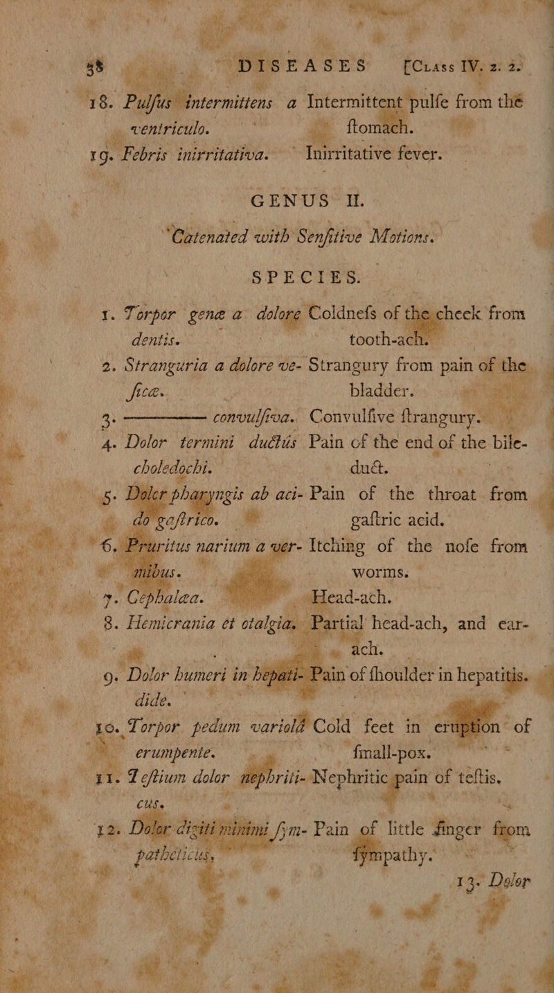 a {Cass We am tent pulfe from the oe ‘ae Pe me 19: Febris inirritativa. ° Inirritative fever. me ! Pe ti: gEWus IL ; 7 a ; pido ed with Sen tive Motions. | 4 : | S P EC : E 8. ies eae Tarper” gene a daeng Coda oi the.ch ‘ “dentis. mi tooth. 2am 2. Stranguria a dolore ve- “Strangury from pain of the. fica. ch , “: DAG “3 sil :. ‘Dolor ‘termini lade Pain of the oid ik the bile. choledochi. ate wing dh, 7 Daler pharyngis ab acie Pain of the throat Flin, me. A _ gaftric acid. : tus narium a ver- Itching of the nofe from - _ worms. | ad-ach. ry artial is ach, and ear