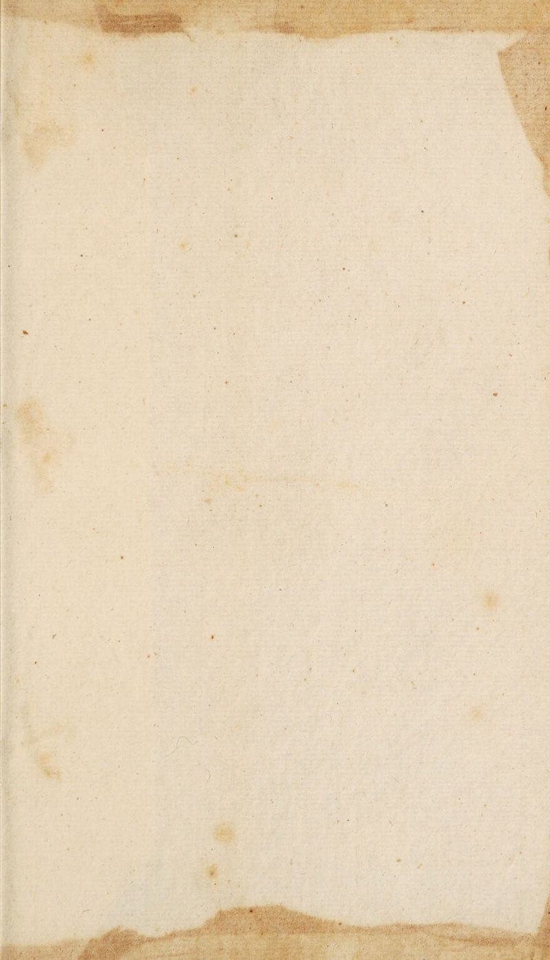 t;.-- 14 .'W r f