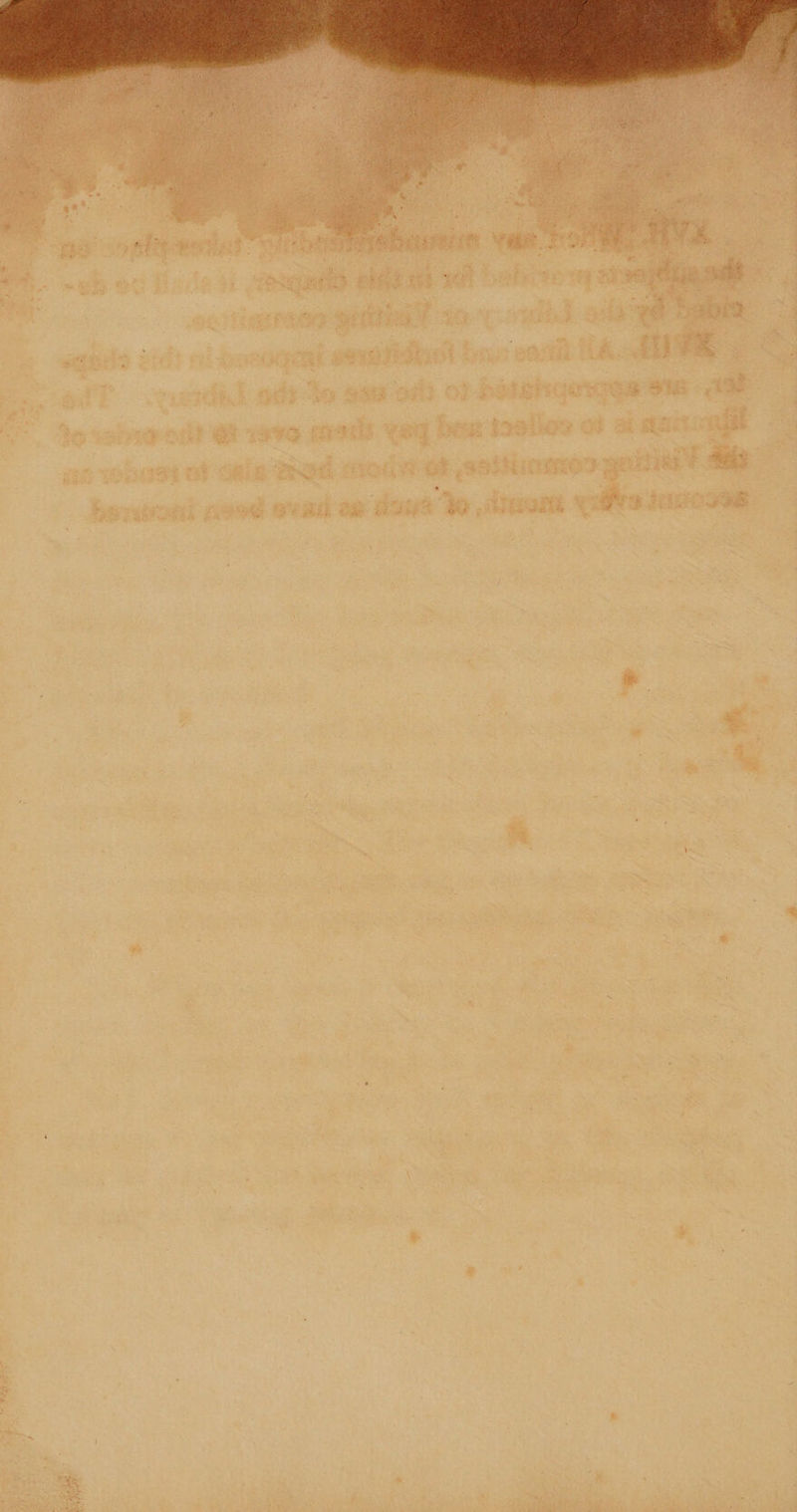     - . - x 7 a . t ~~ + é .  ; eis ae 3 ¥ , \ ‘