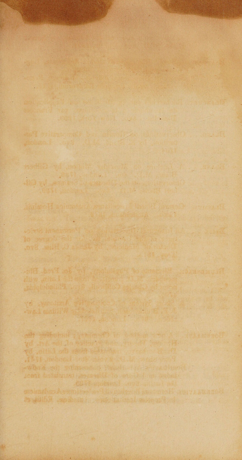 uy        5s oss De) aoe i, i Va * = Mews 4 5 a, é‘ _ : a \ 