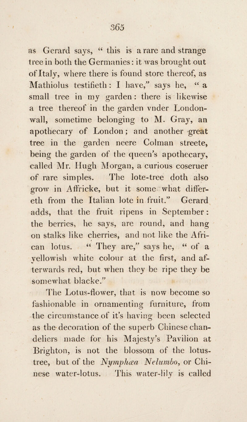 as Gerard says^ this is a rare and strange tree in both the Germanics: it was brought out of Italy, where there is found store thereof, as Mathiolus testifieth: I have,'* says he, a small tree in my garden : there is likewise a tree thereof in the garden vnder London- wall, sometime belonging to M. Gray, an apothecary of London; and another great tree in the garden neere Colman streete, being the garden of the queen^s apothecary, called Mr. Hugh Morgan, a curious coseruer of rare simples. The lote-tree doth also grow in Affricke, but it some what differ- eth from the Italian lote in fruit.’ Gerard adds, that the fruit ripens in September: the berries, he says, are round, and hang on stalks like cherries, and not like the Afri- » can lotus. They are, says he, of a yellowish white colour at the first, and af- terwards red, but when they be ripe they be somewhat blacke. The Lotus-flower, that is now become so fashionable in ornamenting furniture, from the circumstance of it’s havino; been selected as the-decoration of the superb Chinese chan¬ deliers made for his Majesty’s Pavilion at Brighton, is not the blossom of the lotus- tree, but of the Nymphcea Nelumbo, or Chi¬ nese water-lotus. This water-lily is called