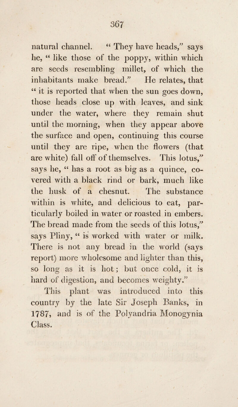 natural channel. They have heads/ says he, like those of the poppy, within which are seeds resembling millet, of which the inhabitants make bread. He relates, that “ it is reported that when the sun goes down, those heads close up with leaves, and sink under the water, where they remain shut until the morning, when they appear above the surface and open, continuing this course until they are ripe, when the flowers (that are white) fall off of themselves. This lotus, says he, “ has a root as big as a quince, co- A^ered Avith a black rind or bark, much like the husk of a chesnut. The substance Avithin is Avhite, and delicious to eat, par¬ ticularly boiled in water or roasted in embers. The bread made from the seeds of this lotus, says Pliny, is worked Avith water or milk. There is not any bread in the world (says report) more Avholesome and lighter than this, so long as it is hot; but once cold, it is hard of digestion, and becomes weighty. This plant Avas introduced into this country by the late Sir Joseph Banks, in 17875 Hnd is of the Polyandria Monogynia Class.