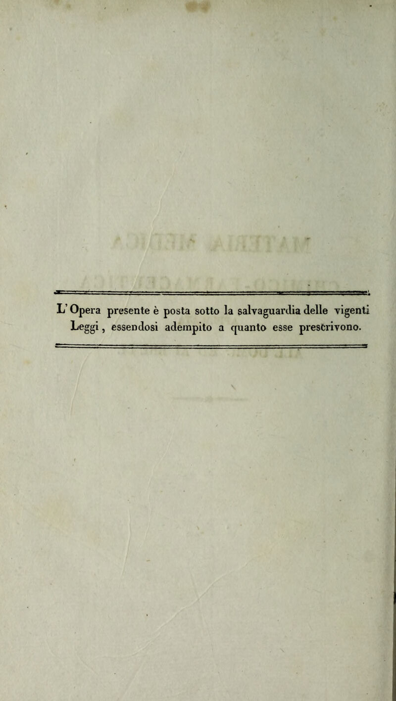 L’Opera presente è posta sotto la salvaguardia delle vigenti Leggi, essendosi adempito a quanto esse prescrivono.