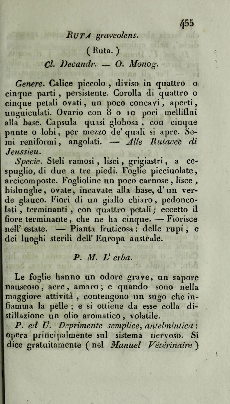 Ruta graveolens. ( Ruta. ) Cl- Decaiidr. — O. Monog. Genere. Calice piccolo , diviso in quattro o cinque parti , persistente. Corolla di quattro o cinque petali ovati, un poco concavi, aperti, unguiculati. Ovario con 8 o io pori inellillui alla base. Capsula quasi globosa , con cinque punte o lobi, per mezzo de’ quali si apre. Se¬ mi reniformi, angolati. — Jlle Rutacee di Jeussieu. Specie. Steli ramosi , lisci, grigiastri, a ce¬ spuglio, di due a tre piedi. Foglie picciuolate, arcicomposte. Foglioline un poco carnose , lisce , bislunghe, ovale, incavate alla base, d’un ver¬ de glauco. Fiori di un giallo chiaro, pedonco- lati , terminanti , con quattro petali ; eccetto il fiore terminante, che ne ha cinque. — Fiorisce nell’ estate. — Pianta fruticosa : delle rupi, e dei luoghi sterili dell’ Europa australe. jp. M. V erba. Le foglie hanno un odore grave, un sapore nauseoso, acre, amaro ; e quando sono nella maggiore attività , contengono un sugo che in¬ fiamma la pelle ; e si ottiene da esse colla di- stillazione un olio aromatico, volatile. P. ed V. Deprimente semplice, antelmintica ; opera principalmente sul sistema nervoso. Si dice gratuitamente ( nel Manuel Vétévinaire )