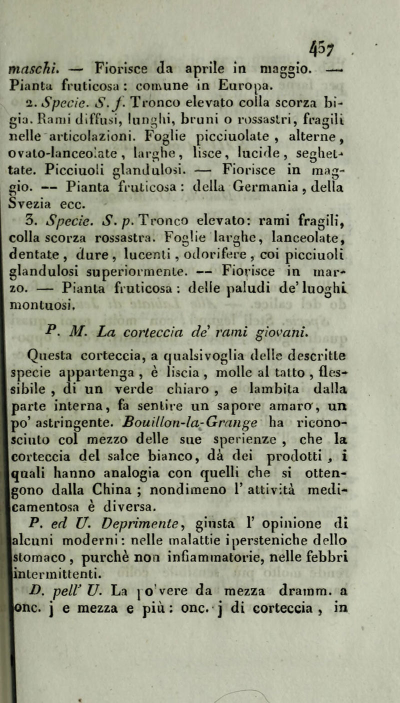 45; maschi. — Fiorisce da aprile in maggio. —• Pianta fruticosa ; comune in Europa. 2. Specie. S.j. Tronco elevato colla scorza bi¬ gia. Rami diffusi, lunglii, bruni o rossastri, fragili nelle articolazioni. Foglie picciuolale , alterne, ovaio-lanceolate, larghe, lisce, lucide, seghet-» tate. Picciuoli glandulosi. — Fiorisce in mag¬ gio. — Pianta fruticosa : della Germania , della Svezia ecc. 3. Specie. S.p.Tronco elevato: rami fragili, colla scorza rossastra. Foglie larghe, lanceolate, dentate , dure , lucenti, odorifere , coi picciuoli glandulosi superiormente. — Fiorisce in mar¬ zo. — Pianta fruticosa; delle paludi de’luoghi montuosi, -P. M. La corteccia de rami giovani. Questa corteccia, a qualsivoglia delle descritte specie appartenga , è liscia , molle al tatto , fles- Isibile , di un verde chiaro , e lambita dalla parte interna, fa sentire un sapore amaro, un po’ astringente. Bouillon-la-Grange ha ricono¬ sciuto col mezzo delle sue sperieiize , che la [corteccia del salce bianco, dà dei prodotti , i [quali hanno analogia con quelli che si otten- Igono dalla China ; nondimeno 1’ attività medi- Icamentosa è diversa. I P. ed U. Deprimente, giusta 1’ opinione di lalcuni moderni; nelle malattie ipersteniche dello ■stomaco , purché non infiammatorie, nelle febbri linlerinittenti. I D. pelV U. La jo’vere da mezza dramm. a Ione, j e mezza e più: onc. j di corteccia , in