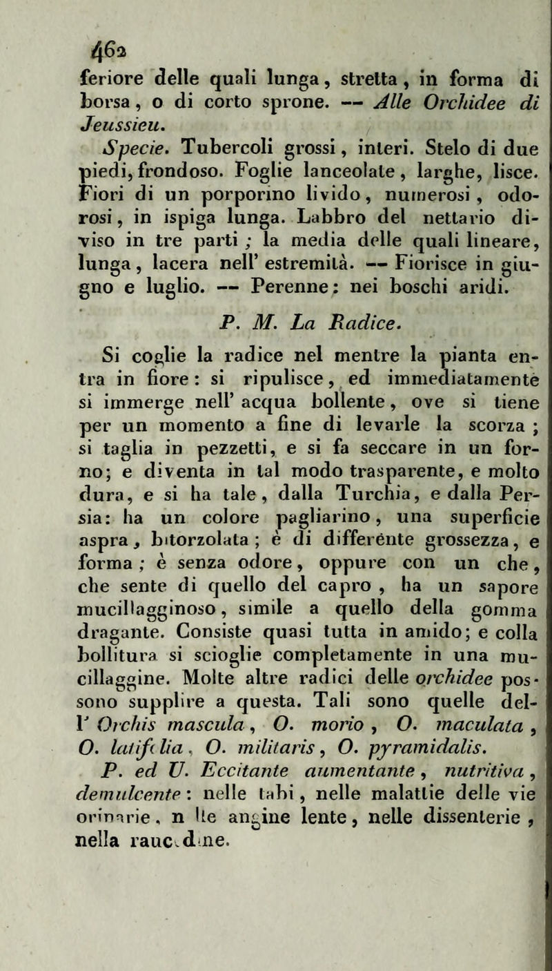 4^2 feriore delle quali lunga, stretta, in forma di borsa, o di corto sprone. — Alle Orchidee di Jeussieu. Specie. Tubercoli grossi, interi. Stelo di due piedi,frondoso. Foglie lanceolate, larghe, lisce. Fiori di un porporino livido, numerosi, odo¬ rosi, in ispiga lunga. Labbro del nettario di¬ viso in tre parti ; la media delle quali lineare, lunga, lacera nell’ estremità. — Fiorisce in giu¬ gno e luglio. — Perenne: nei boschi aridi. P. M. La Radice. Si coglie la radice nel mentre la pianta en¬ tra in fiore : si ripulisce, ed immediatamentè si immerge nell’ acqua bollente, ove si tiene per un momento a fine di levarle la scorza ; si taglia in pezzetti, e si fa seccare in un for¬ no; e diventa in tal modo trasparente, e molto dura, e si ha tale, dalla Turchia, e dalla Per¬ sia: ha un colore pagliarino, una superficie aspra, bitorzolata ; è di differènte grossezza, e forma ; è senza odore, oppure con un che, che sente di quello del capro , ha un sapore mucillagginoso, simile a quello della gomma dragante. Consiste quasi tutta in amido; e colla bollitura si scioglie completamente in una mu¬ cillaggine. Molte altre radici delle oivhidee pos¬ sono supplire a questa. Tali sono quelle del- F Orchis mascula , O. mono , O. maculata , O. laiifi Ha, O. militaris, O. pjramidalis. P. ed U. Eccitante aumentante, nutritiva, demulcente : nelle tabi, nelle malattie delle vie orinarie, n Ue angine lente, nelle dissenterie , nella raucedine.