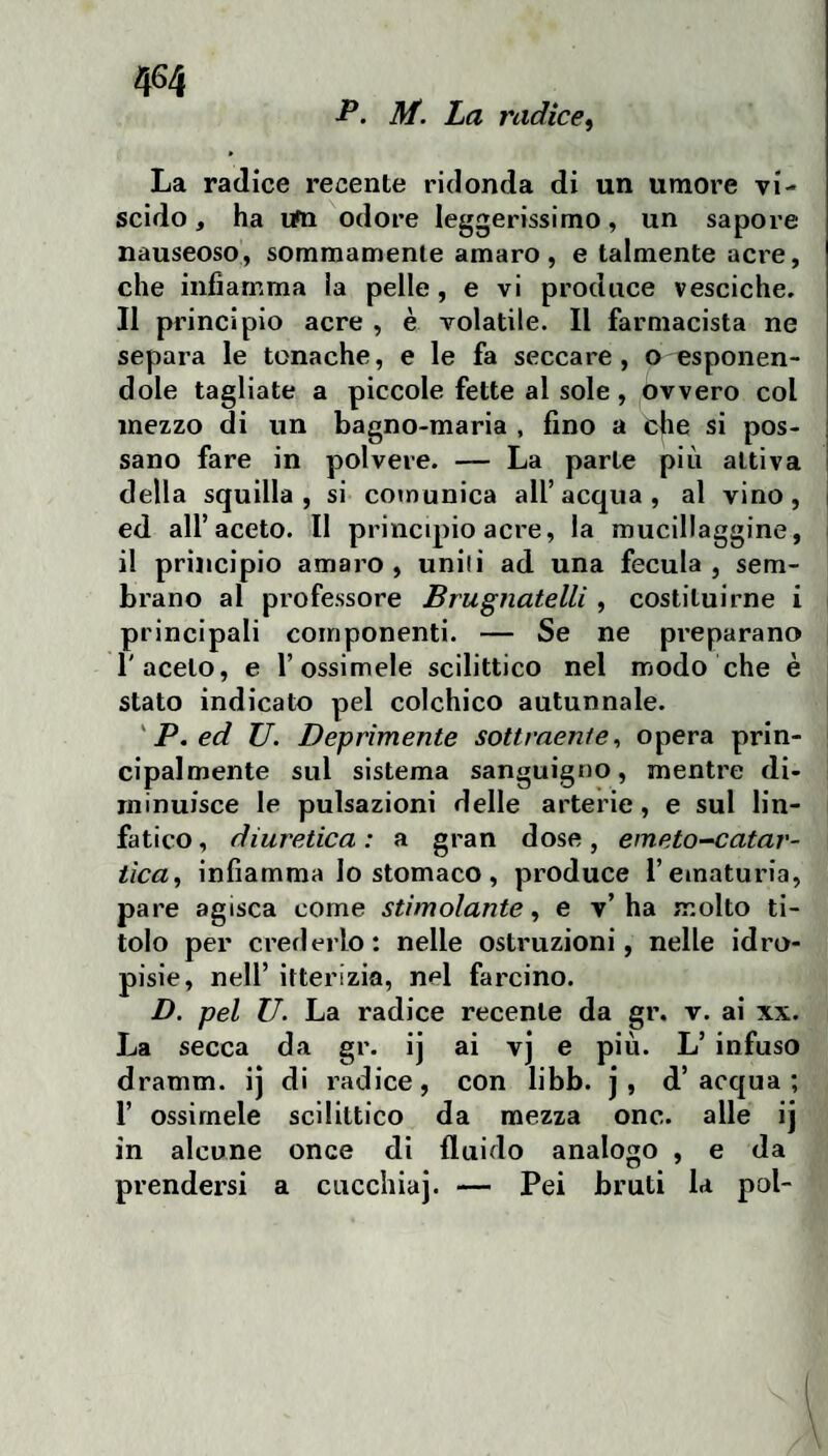 P. M. La radice^ La radice recente ridonda di un umore vi¬ scido , ha ufn odore leggerissimo, un sapore nauseoso, sommamente amaro, e talmente acre, che infiamma la pelle, e vi produce vesciche. Il principio acre , è volatile. Il farmacista ne separa le tonache, e le fa seccare, © esponen¬ dole tagliate a piccole fette al sole , ovvero col mezzo di un bagno-maria , fino a che si pos¬ sano fare in polvere. — La parte più attiva della squilla, si comunica all’acqua, al vino, ed all’aceto. Il principio acre, la mucillaggine, il principio amaro, uniti ad una fecula , sem¬ brano al professore Brugnatelli, costituirne i principali componenti. — Se ne preparano l'aceto, e Tossimele scilittico nel modo che è stato indicato pel colchico autunnale. 'P.ed U. Deprimente sottraente^ opera prin¬ cipalmente sul sistema sanguigno, mentre di¬ minuisce le pulsazioni delle arterie, e sul lin¬ fatico , diuretica : a gran dose, eineto-catar- iica, infiamma lo stomaco, produce l’ematuria, pare agisca come stimolante^ e v’ha molto ti¬ tolo per crederlo: nelle ostruzioni, nelle idro¬ pisie, nell’ itterizia, nel farcino. D. pel U. La radice recente da gr. v. ai xx. La secca da gr. ij ai vj e più. L’ infuso dramm. ij di radice, con libb. j, d’acqua; T ossirnele scilittico da mezza onc. alle ij in alcune once di fluido analogo , e da prendersi a cucchiaj. — Pei bruti la poi-
