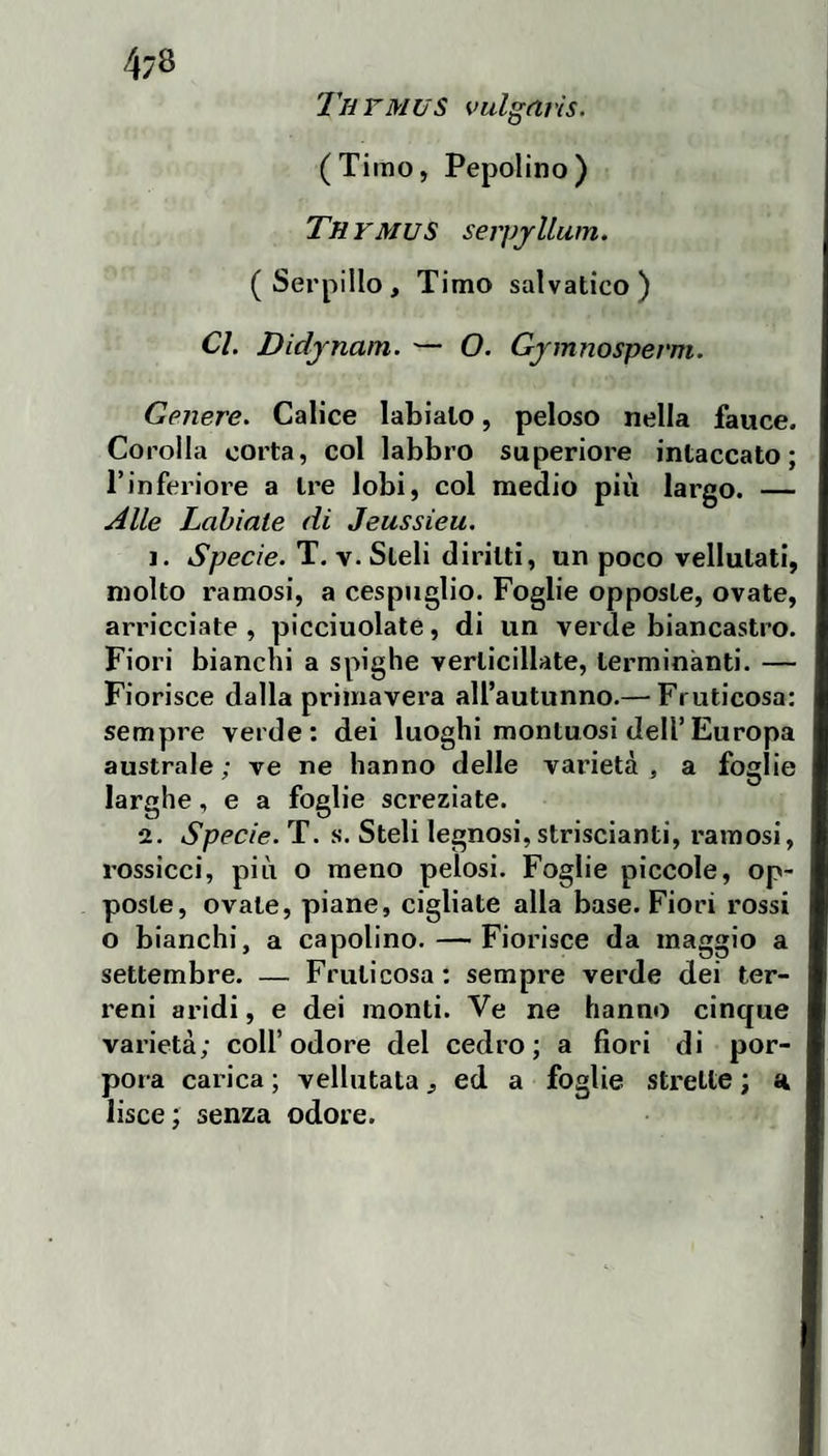 Tu rMUs vulgaris. (Timo, Pepolino) Th ymus serpyllam. (Serpillo, Timo salvatico) Cl. Didjnam. — O. Gjmnosperm. Genere. Calice labiato, peloso nella fauce. Corolla corta, col labbro superiore intaccato; l’inferiore a tre lobi, col medio più largo. — Alle Labiale di Jeussieu, 1. Specie. T. v. Steli diritti, un poco vellutati, molto ramosi, a cespuglio. Foglie opposte, ovate, arricciate , picciuolatè, di un verde biancastro. Fiori bianchi a spighe verticillate, terminanti. — Fiorisce dalla primavera all’autunno.— Fruticosa: sempre verde: dei luoghi montuosi dell’Europa australe; ve ne hanno delle varietà, a foglie larghe, e a foglie screziate. 2. Specie. T. a. Steli legnosi, striscianti, ramosi, rossicci, più o meno pelosi. Foglie piccole, op¬ poste, ovate, piane, cigliate alla base. Fiori rossi o bianchi, a capolino. — Fiorisce da maggio a settembre. — Fruticosa: sempre verde dei ter¬ reni aridi, e dei monti. Ve ne hanno cinque varietà; coll’odore del cedro; a fiori di por¬ pora carica ; vellutata, ed a foglie strette ; a. lisce: senza odore.