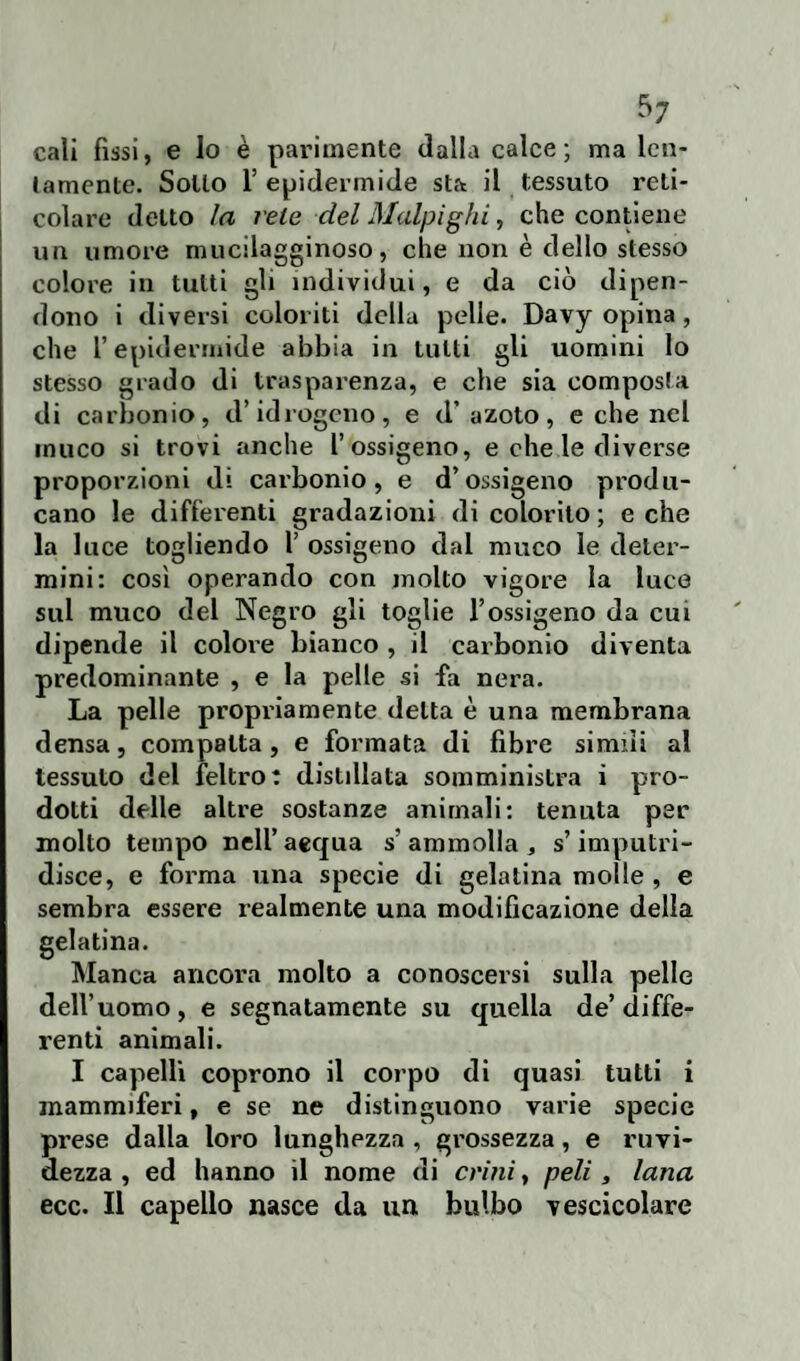 5; cali fìssi, e lo è parimente dalla calce; ma len¬ tamente. Sotto l5 epidermide sta il tessuto reti¬ colare detto la vele del Malpighi, che contiene un umore mucilagginoso, che non è dello stesso colore in tutti gli individui, e da ciò dipen¬ dono i diversi coloriti della pelle. Davy opina, che l’epidermide abbia in Lutti gli uomini lo stesso grado di trasparenza, e che sia composta di carbonio, d’idrogeno, e d’azoto, e che nel muco si trovi anche l’ossigeno, e che le diverse proporzioni di carbonio, e d’ossigeno produ¬ cano le differenti gradazioni di colorito ; e che la luce togliendo 1’ ossigeno dal muco le deter¬ mini: così operando con molto vigore la luce sul muco del Negro gli toglie l’ossigeno da cui dipende il colore bianco , il carbonio diventa predominante , e la pelle si fa nera. La pelle propriamente delta è una membrana densa, compatta, e formata di fibre simili al tessuto del feltro: distillata somministra i pro¬ dotti delle altre sostanze animali: tenuta per molto tempo nell’aequa s’ammolla, s’imputri¬ disce, e forma una specie di gelatina molle , e sembra essere realmente una modificazione della gelatina. Manca ancora molto a conoscersi sulla pelle dell’uomo, e segnatamente su quella de’diffe¬ renti animali. I capelli coprono il corpo di quasi tutti i mammiferi, e se ne distinguono varie specie prese dalla loro lunghezza , grossezza, e ruvi¬ dezza , ed hanno il nome di crini, peli, lana ecc. Il capello nasce da un bulbo vescicolare