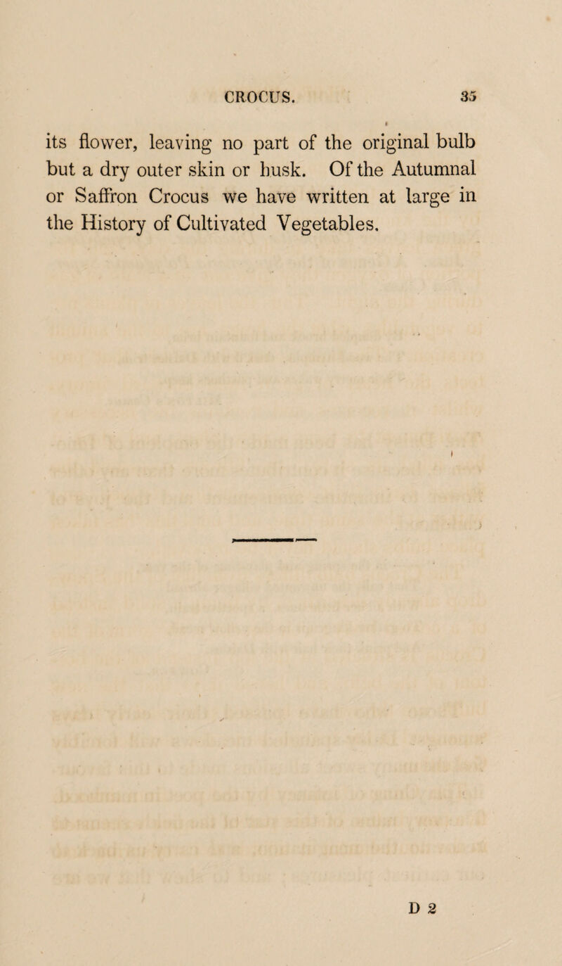 its flower, leaving no part of the original bulb but a dry outer skin or husk. Of the Autumnal or Saffron Crocus we have written at large in the History of Cultivated Vegetables.
