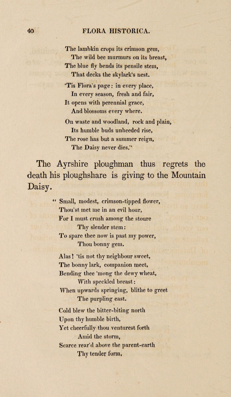 The lambkin crops its crimson gem. The wild bee murmurs on its breast, The blue fly bends its pensile stem, That decks the skylark’s nest. ’Tis Flora’s page: in every place. In every season, fresh and fair. It opens with perennial grace, And blossoms every where. On waste and woodland, rock and plain, Its humble buds unheeded rise, The rose has but a summer reign, The Daisy never dies.” The Ayrshire ploughman thus regrets the death his ploughshare is giving to the Mountain Daisy. “ Small, modest, crimson-tipped flower, Thou’st met me in an evil hour, For I must crush among the stoure Thy slender stem: To spare thee now is past my power, Thou bonny gem. Alas! ’tis not thy neighbour sweet, The bonny lark, companion meet, Bending thee ’mong the dewy wheat. With speckled breast: When upwards springing, blithe to greet The purpling east. Cold blew the bitter-biting north Upon thy humble birth, Yet cheerfully thou venturest forth Amid the storm, Scarce rear’d above the parent-earth Thy tender form,