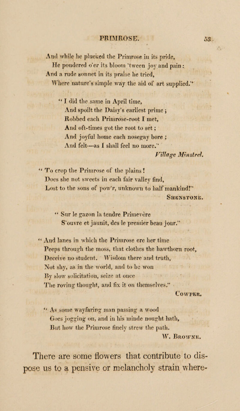 And while he plucked the Primrose in its pride. He pondered o'er its bloom ’tween joy and pain : And a rude sonnet in its praise he tried, Where nature's simple way the aid of art supplied.” “ I did the same in April time. And spoilt the Daisy's earliest prime ; Robbed each Primrose-root I met, And oft-times got the root to set; And joyful home each nosegay bore ; And felt—as I shall feel no more.” Village Minstrel. “ To crop the Primrose of the plains! Does she not sweets in each fair valley find. Lost to the sons of pow’r, unknown to half mankind!'’ Shenstone. “ Sur le gazon la tendre Primevere S'ouvre et jaunit, des le premier beau jour.” “ And lanes in which the Primrose ere her time Peeps through the moss, that clothes the hawthorn root. Deceive no student. Wisdom there and truth, Not shy, as in the world, and to be won By slow solicitation, seize at once The roving thought, and fix it on themselves.” CoWPBIt. As some wayfaring man passing a wood Goes jogging on, and in his minde nought hath. But how the Primrose finely strew the path. W. Browne. There are some flowers that contribute to dis¬ pose us to a pensive or melancholy strain where-