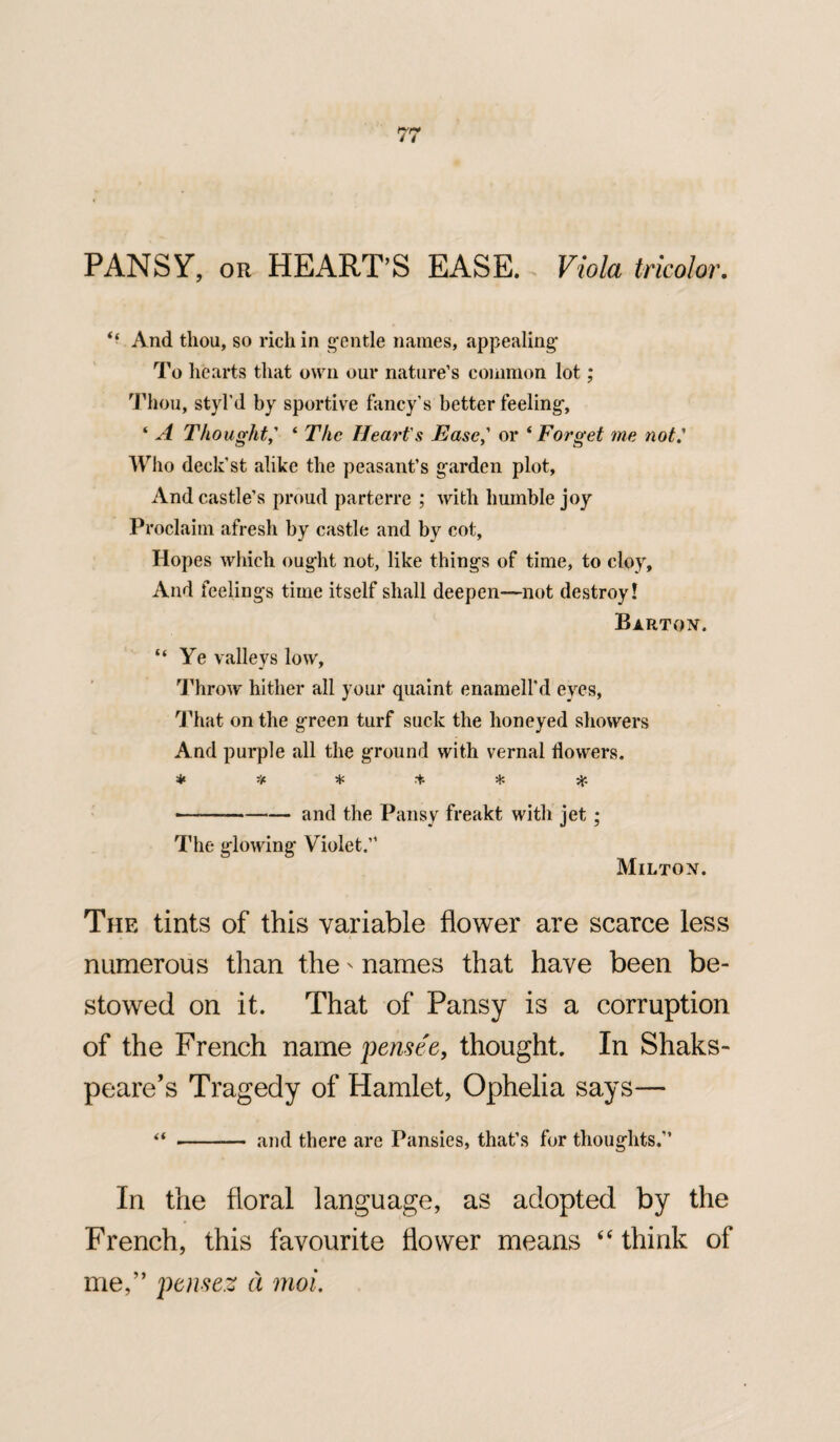 PANSY, or HEART’S EASE. Viola tricolor. “ And thou, so rich in gentle names, appealing To hearts that own our nature’s common lot; Thou, styl'd by sportive fancy’s better feeling, ‘ A Thought,’ ‘ The Heart's Ease,' or ‘ Forget me not.' Who deck’st alike the peasant’s garden plot, And castle’s proud parterre ; with humble joy Proclaim afresh by castle and by cot, Hopes which ought not, like things of time, to cloy. And feelings time itself shall deepen—not destroy! Barton. “ Ye valleys low. Throw hither all your quaint enamell’d eyes, That on the green turf suck the honeyed showers And purple all the ground with vernal flowers. ****** ■——-and the Pansy freakt with jet; The glowing Violet.” Milton. The tints of this variable flower are scarce less numerous than the - names that have been be¬ stowed on it. That of Pansy is a corruption of the French name pensee, thought. In Shaks- peare’s Tragedy of Hamlet, Ophelia says— “ --— and there are Pansies, that’s for thoughts,” In the floral language, as adopted by the French, this favourite flower means “ think of me,” ptnsez a moi.