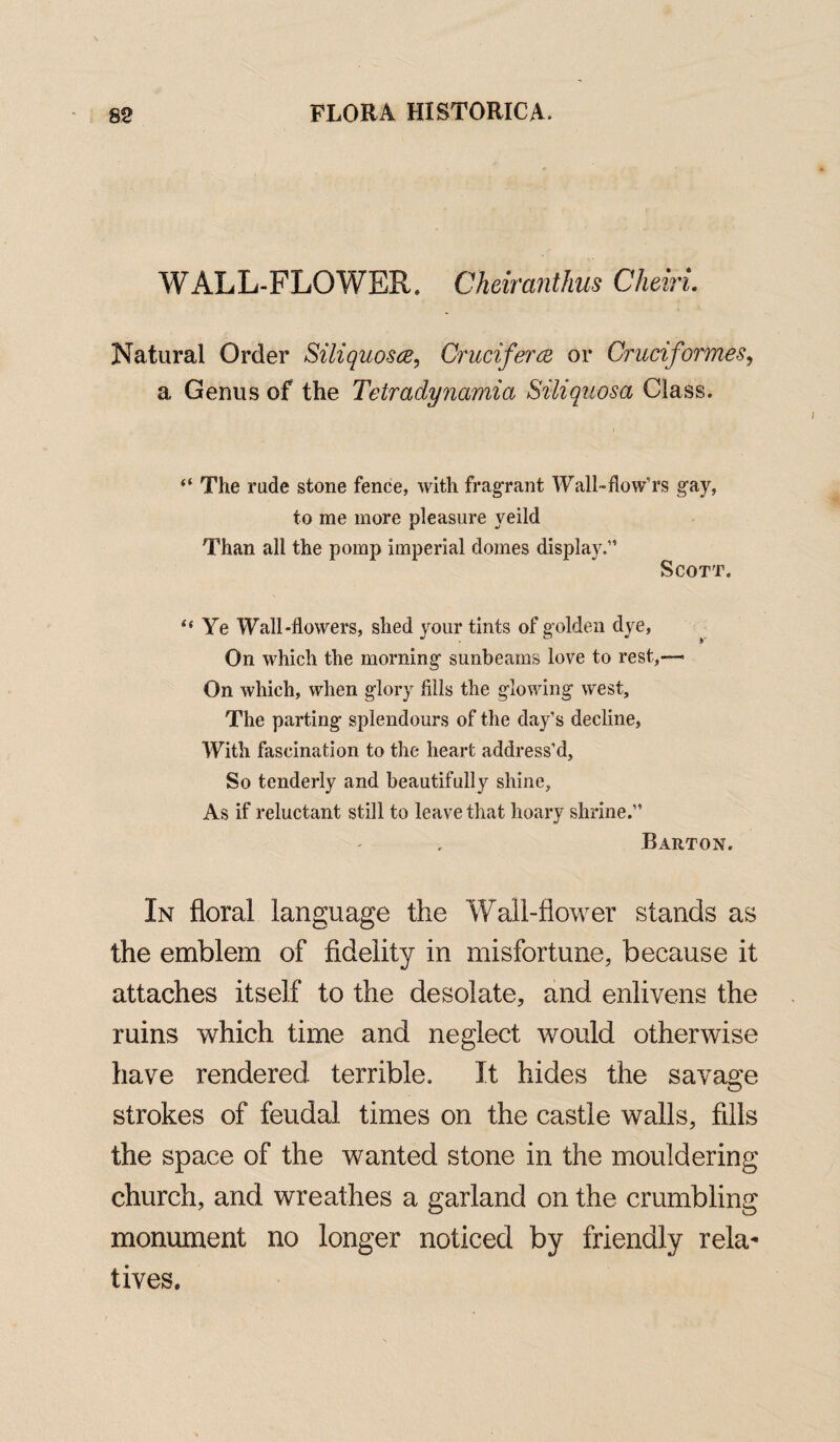 WALL-FLOWER. Cheiranthus Cheirl Natural Order Siliquosce, Crucifer re or Cruciformes, a Genus of the Tetradynamia Siliquosa Class. “ The rude stone fence, with fragrant Wall-flow’rs gay, to me more pleasure yeild Than all the pomp imperial domes display.” Scott. “ Ye Wall-flowers, shed your tints of golden dye, On which the morning sunbeams love to rest,— On which, when glory fills the glowing west. The parting splendours of the day’s decline, With fascination to the heart address’d. So tenderly and beautifully shine, As if reluctant still to leave that hoary shrine.” Barton. In floral language the Wall-flower stands as the emblem of fidelity in misfortune, because it attaches itself to the desolate, and enlivens the ruins which time and neglect would otherwise have rendered terrible. It hides the savage strokes of feudal times on the castle walls, fills the space of the wanted stone in the mouldering church, and wreathes a garland on the crumbling monument no longer noticed by friendly rela¬ tives.