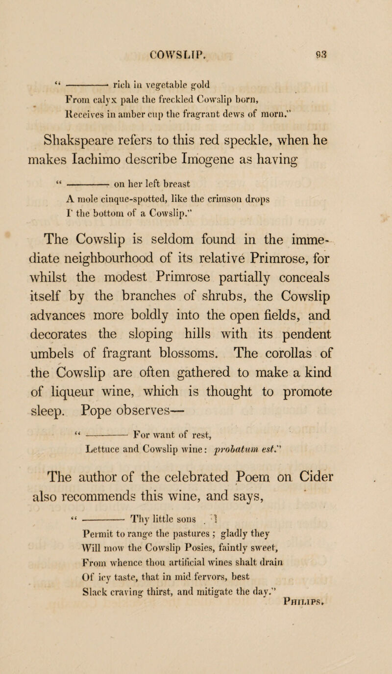 “ -• rioli i»i vegetable gold From calyx pale the freckled Cowslip born, Receives in amber cup tlie fragrant dews of morn.” Shakspeare refers to this red speckle, when he makes lachimo describe Imogene as having “ - on her left breast A mole cinque-spotted, like the crimson drops I’ the bottom of a Cowslip.” The Cowslip is seldom found in the imme¬ diate neighbourhood of its relative Primrose, for whilst the modest Primrose partially conceals itself by the branches of shrubs, the Cowslip advances more boldly into the open fields, and decorates the sloping hills with its pendent umbels of fragrant blossoms. The corollas of the Cowslip are often gathered to make a kind of liqueur wine, which is thought to promote sleep. Pope observes— “ -- For want of rest, Lettuce and Cowslip wine: probation est The author of the celebrated Poem on Cider also recommends this wine, and says, “ -- Thy little sons . Permit to range the pastures ; gladly they Will mow the Cowslip Posies, faintly sweet. From whence thou artificial wanes shalt drain Of icy taste, that in mid fervors, best Slack craving thirst, and mitigate the day.” Philips.