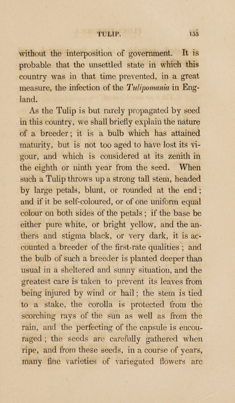 without the interposition of government. It is probable that the unsettled state in which this country was in that time prevented, in a great measure, the infection of the Tulipomania in Eng¬ land. As the Tulip is but rarely propagated by seed in this country, we shall briefly explain the nature of a breeder; it is a bulb which has attained maturity, but is not too aged to have lost its vi¬ gour, and which is considered at its zenith in the eighth or ninth year from the seed. When such a Tulip throws up a strong tall stem, headed by large petals, blunt, or rounded at the end; and if it be self-coloured, or of one uniform equal colour on both sides of the petals ; if the base be either pure white, or bright yellow, and the an¬ thers and stigma black, or very dark, it is ac¬ counted a breeder of the first-rate qualities ; and the bulb of such a breeder is planted deeper than usual in a sheltered and sunny situation, and the greatest care is taken to prevent its leaves from being injured by wind or hail; the stem is tied to a stake, the corolla is protected from the scorching rays of the sun as well as from the rain, and the perfecting of the capsule is encou¬ raged ; the seeds are carefully gathered when ripe, and from these seeds, in a course of years, many fine varieties of variegated flowers arc