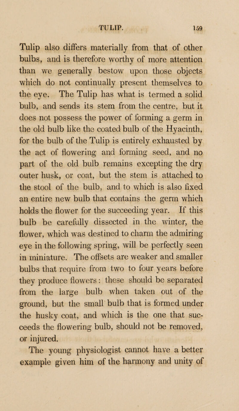 Tulip also differs materially from that of other bulbs, and is therefore worthy of more attention than we generally bestow upon those objects which do not continually present themselves to the eye. The Tulip has what is termed a solid bulb, and sends its stem from the centre, but it does not possess the power of forming a germ in the old bulb like the coated bulb of the Hyacinth, for the bulb of the Tulip is entirely exhausted by the act of flowering and forming seed, and. no part of the old bulb remains excepting the dry outer husk, or coat, but the stem is attached to the stool of the bulb, and to which is also fixed an entire new bulb that contains the germ which holds the flower for the succeeding year. If this bulb be carefully dissected in the winter, the flower, which was destined to charm the admiring eye in the following spring, will be perfectly seen in miniature. The offsets are weaker and smaller bulbs that require from two to four years before they produce flowers: these should be separated from the large bulb when taken out of the ground, but the small bulb that is formed under the husky coat, and which is the one that suc¬ ceeds the flowering bulb, should not be removed, or injured. The young physiologist cannot have a better example given him of the harmony and unity of