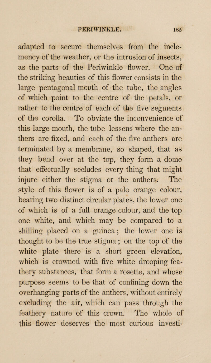 adapted to secure themselves from the incle¬ mency of the weather, or the intrusion of insects, as the parts of the Periwinkle flower. One of the striking beauties of this flower consists in the large pentagonal mouth of the tube, the angles of which point to the centre of the petals, or rather to the centre of each of the five segments of the corolla. To obviate the inconvenience of this large mouth, the tube lessens where the an¬ thers are fixed, and each of the five anthers are terminated by a membrane, so shaped, that as they bend over at the top, they form a dome that effectually secludes every thing that might injure either the stigma or the anthers. The style of this flower is of a pale orange colour, bearing two distinct circular plates, the lower one of which is of a full orange colour, and the top one white, and which may be compared to a shilling placed, on a guinea; the lower one is thought to be the true stigma; on the top of the white plate there is a short green elevation, which is crowned with five white drooping fea¬ thery substances, that form a rosette, and whose purpose seems to be that of confining down the overhanging parts of the anthers, without entirely excluding the air, which can pass through the feathery nature of this crown. The whole of this flower deserves the most curious investi-