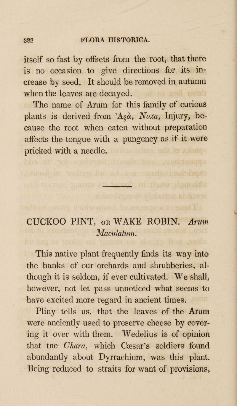 itself so fast by offsets from the root, that there is no occasion to give directions for its in¬ crease by seed. It should be removed in autumn when the leaves are decayed. The name of Arum for this family of curious plants is derived from ’Aga, Noxa, Injury, be¬ cause the root when eaten without preparation affects the tongue with a pungency as if it were pricked with a needle. CUCKOO PINT, or WAKE ROBIN. Arum Maculatum. « * This native plant frequently finds its way into the banks of our orchards and shrubberies, al¬ though it is seldom, if ever cultivated. We shall, however, not let pass unnoticed what seems to have excited more regard in ancient times. Pliny tells us, that the leaves of the Arum were anciently used to preserve cheese by cover¬ ing it over with them. Wedelius is of opinion that tne Cham, which Coesar’s soldiers found abundantly about Dyrrachium, was this plant. Being reduced to straits for want of provisions,