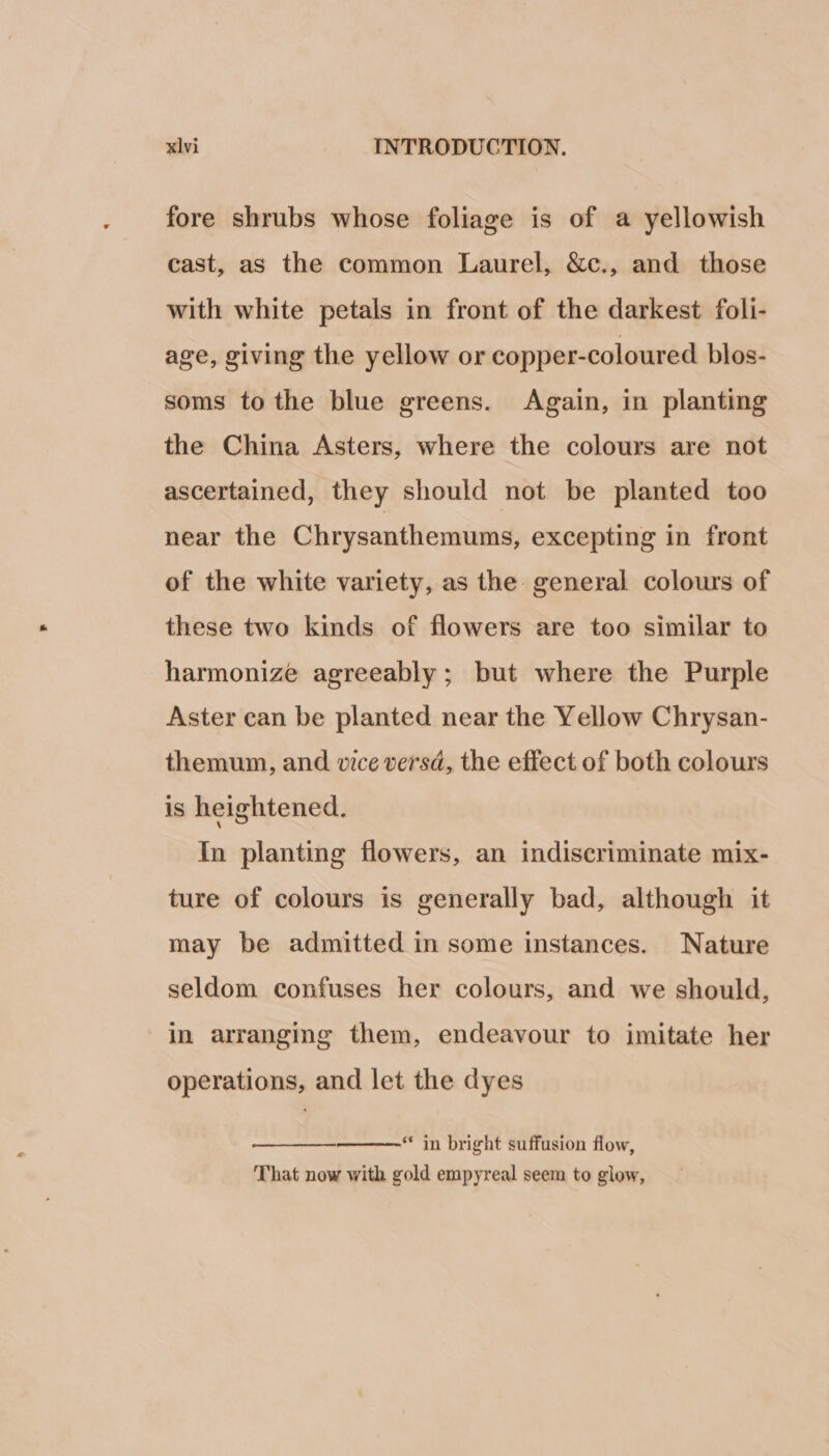 fore shrubs whose foliage is of a yellowish cast, as the common Laurel, &amp;c., and those with white petals in front of the darkest foli- age, giving the yellow or copper-coloured blos- soms to the blue greens. Again, in planting the China Asters, where the colours are not ascertained, they should not be planted too near the Chrysanthemums, excepting in front of the white variety, as the general colours of these two kinds of flowers are too similar to harmonize agreeably; but where the Purple Aster can be planted near the Yellow Chrysan- themum, and vice versd, the effect of both colours is heightened. In planting flowers, an indiscriminate mix- ture of colours is generally bad, although it may be admitted in some instances. Nature seldom confuses her colours, and we should, in arranging them, endeavour to imitate her operations, and let the dyes * in bright suffusion flow, That now with gold empyreal seem to glow,