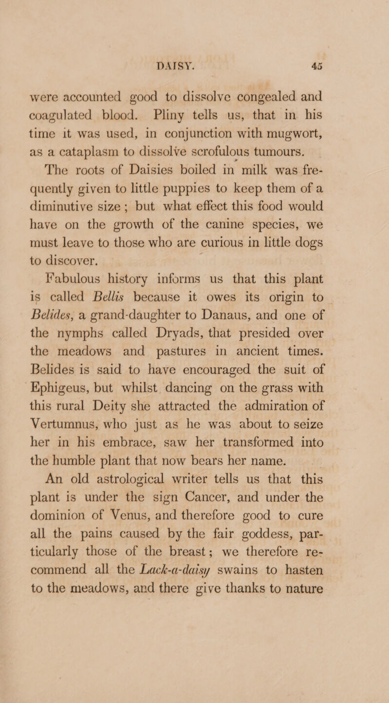 were accounted good to dissolve congealed and coagulated blood. Pliny tells us, that in his time it was used, in conjunction with mugwort, as a cataplasm to dissolve scrofulous tumours. The roots of Daisies boiled in milk was fre- quently given to little puppies to keep them of a diminutive size; but what effect this food would have on the growth of the canine species, we must leave to those who are curious in little dogs to discover. | Fabulous history informs us that this plant is called Bellis because it owes its origin to_ Belides, a grand-daughter to Danaus, and one of the nymphs called Dryads, that presided over the meadows and pastures in ancient times. Belides is said to have encouraged the suit of Ephigeus, but whilst dancing on the grass with this rural Deity she attracted the admiration of Vertumnus, who just as he was about to seize her in his embrace, saw her transformed into the humble plant that now bears her name. An old astrological writer tells us that this plant is under the sign Cancer, and under the dominion of Venus, and therefore good to cure all the pains caused by the fair goddess, par- ticularly those of the breast; we therefore re- commend all the Lack-a-daisy swains to hasten to the meadows, and there give thanks to nature