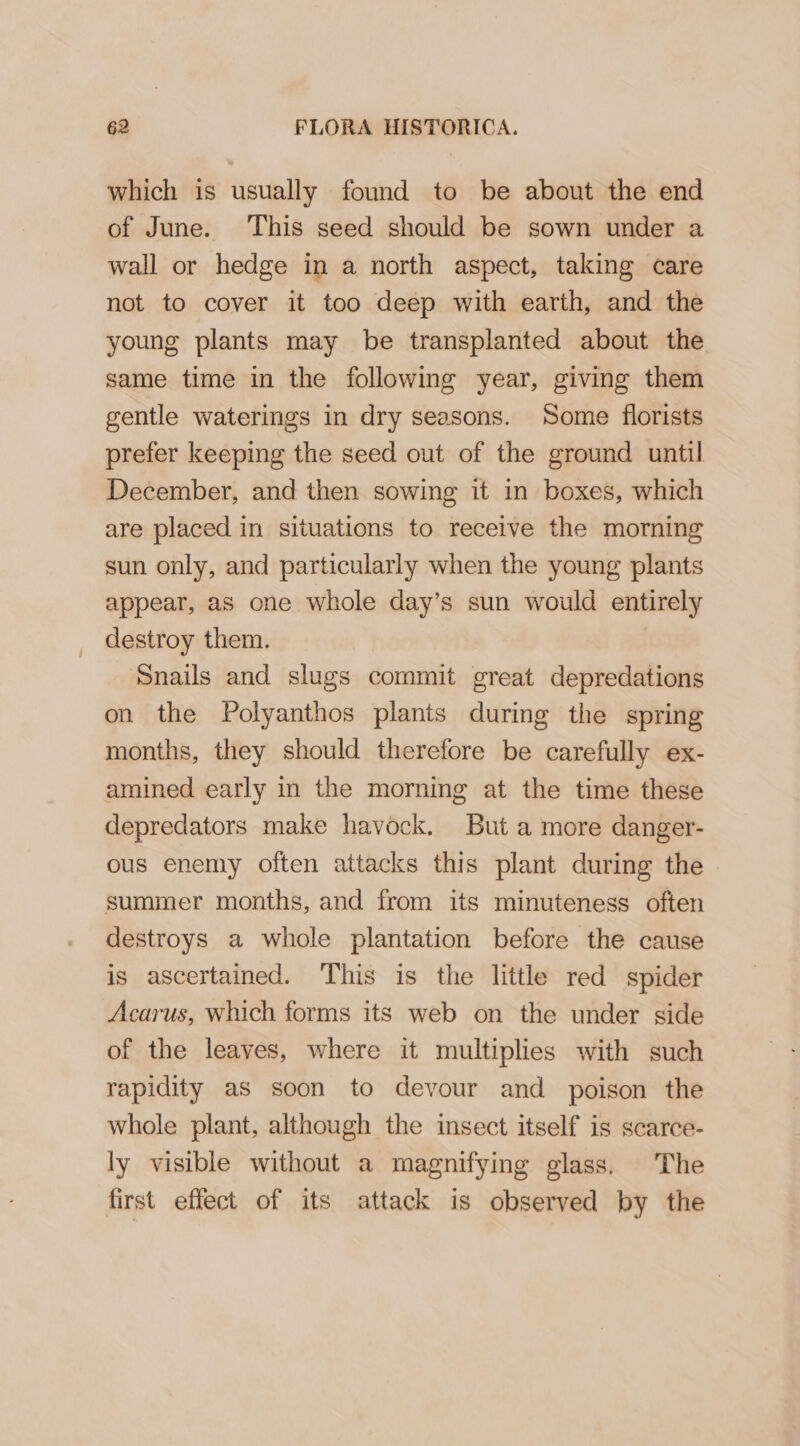 which is usually found to be about the end of June. This seed should be sown under a wall or hedge in a north aspect, taking care not to cover it too deep with earth, and the young plants may be transplanted about the same time in the following year, giving them gentle waterings in dry seasons. Some florists prefer keeping the seed out of the ground until December, and then sowing it in boxes, which are placed in situations to receive the morning sun only, and particularly when the young plants appear, as one whole day’s sun would entirely destroy them. Snails and slugs commit great depredations on the Polyanthos plants during the spring months, they should therefore be carefully ex- amined early in the morning at the time these depredators make havock. But a more danger- ous enemy often attacks this plant during the summer months, and from its minuteness often destroys a whole plantation before the cause is ascertained. This is the little red spider Acarus, which forms its web on the under side of the leaves, where it multiplies with such rapidity as soon to devour and poison the whole plant, although the insect itself is scarce- ly visible without a magnifying glass. The first effect of its attack is observed by the