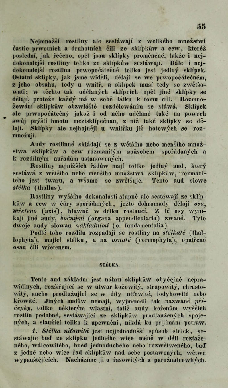 Nejninož.ší rostliny ale sestáwají z welikého množstwf částic prwolních a druhotních čili ze sklípkůw a cew, kteréž poslední, jak řečeno, opět jsau sklípky proměněné, takže i nej¬ dokonalejší rostliny toliko ze sklípkůw sestáwají. Dále i nej¬ dokonalejší rostlina prwopočátečně toliko jest jediný sklípek. Ostatní sklípky, jak jsme widěli, dělají se we prwopočátečném, z jeho obsahu, tedy u wnitř, a sklípek musí tedy se zAvětšo- wati; w těchto tak udělaných sklípcích opět jiné sklípky se dělají, protože každý má w sobě látku k tomu cíli. Rozmno- žowání sklípkůw obzwláště rozdělowáním se stáwá. Sklípek ale pr\A'opočátečný jakož i od něho udělané také na powrch swůj prýští hmotu mezisklípeěnau, z níž také sklípky se dě¬ lají. Sklípky ale nejhojněji u wnitřku již hotowých se roz¬ množují. Audy rostlinné skládají se z wětšího nebo menšího množ- stwa sklípkůw a cew rozmanitým spůsohem spořádaných a k rozdílným auřadům ustanoAA ených. Rostliny nejnižších řádůw mají toliko jediný aud, který sestávvá z \A’ětšího nebo menšího množstwa sklípkůw, rozmani¬ tého jest twaru, a wšamo se zwětšuje. Tento aud slowe stélka Qhallus). Rostliny vA-yššího dokonalosti stupně ale sestáwají ze sklíp- kŮAA'^ a cew w čáry spořádaných, ježto dohromady dělají osu, xcřeteno (^axis}, hlaAAiiě w délku rostaucí. Z té osy Avyni- kají jiné audy, bočnými (^org-ana appendicularia) zwané. Tyto dwoje audy slowau základními (^o. lundamentalia). Podlé toho rozdílu rozpadají se rostliny na stélkaté (thal- lophyta}, mající stélku, a na osnafé (^cormophyta]), opatřené osau čili wřetenem. STÉLKA. Tento aud základní jest náhrn sklípkůw obyčejně nepra- widlnych, rozšiřující se w útwar kožoAvitý, strupowitý, chrasto- witý, anebo prodlužující se w díly niťowité, lodj^howité nebo křowité. Jiných audůw nemají, wyjmemeli tak nazAA'ané při- čepky, toliko některým wlastní, totiž audy kořenům wyšších rostlin podobné, sestáwající ze sklípkůw prodlaužených spoje¬ ných, a slaužící toliko k upeAA'nění, nikdá ku přijímání potraw. 1. Síélka niťowifá jest nejjednodušší spůsob stélek, se- stáwajíc buď ze sklípku jediného wíce méně w déli roztaže¬ ného, wálcowitého, hned jednoduchého nebo rozAvětweného, buď z jedné nebo wíce řad sklípkůw nad sebe postaAAených, wětwe wypauštějících. Nacházíme ji u řasowitých a parožnatcowitých.