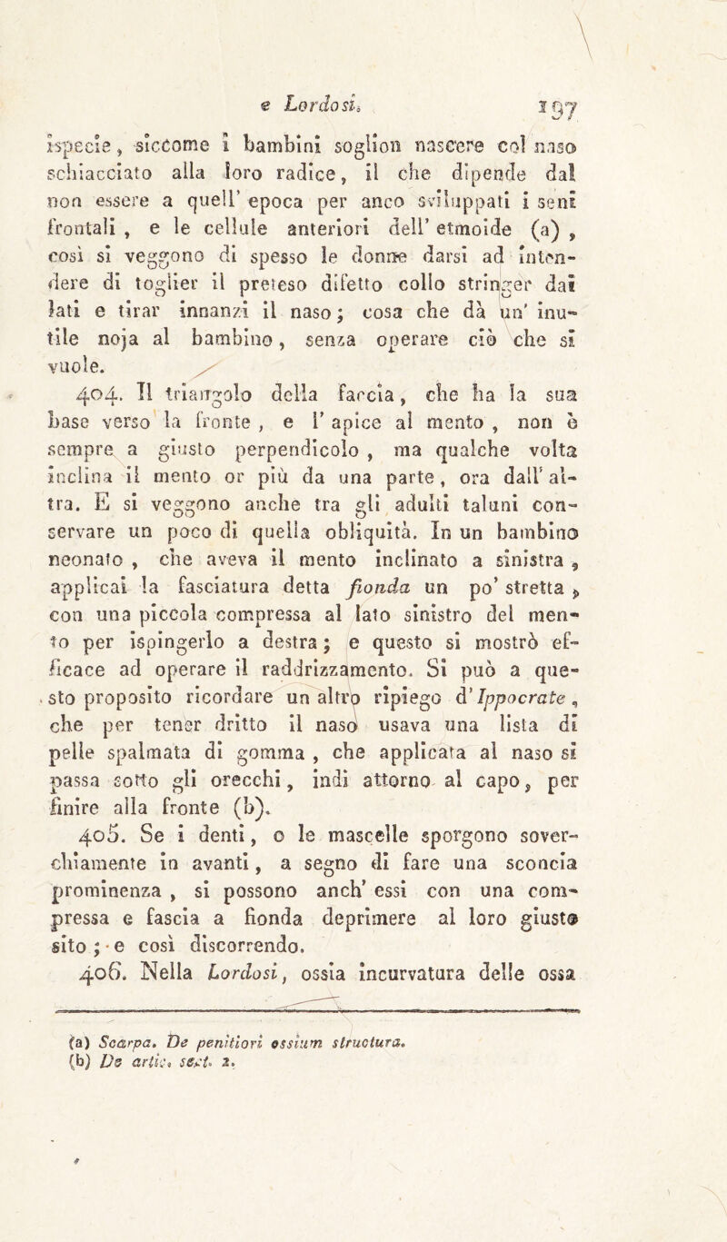 specie, siccome i bambini sogHoii nascere col naso schiacciato alla loro radice, il che dipende da! non essere a quell’ epoca per anco sviluppali i seni frontali , e le cellule anieriori dell’ etmoide (a) , così si veggono di spesso le donile darsi ad inten¬ dere di toglier il preteso difetto collo stringer dai kti e tirar innanzi il naso ; cosa che dà un' inu¬ tile noja al bambino, senja operare ciò che si vuole. 404. Il triangolo delia farcia, che ha la sua base verso la fronte , e V apice al meato , non è .sempre a giusto perpendicolo , ma qualche volta inclina il mento or più da una parte, ora dall’ al¬ tra. E sì veggono anche tra gli adulti taluni con¬ servare un poco di quella obliquità. In un bambino neonato , che aveva il mento inclinato a sinistra 5 applicai la fasciatu.»'a detta fionda un po’ stretta ^ con una piccola compressa al Iato sinistro del men¬ to per ispingerlo a destra ; e questo si mostrò ef¬ ficace ad operare il raddrizzamento. SI può a que- . sto proposito ricordare un altro ripiego d'Ippocrate ^ che per tener dritto il naso usava una lista di pelle spalmata di gomma , che applicata al naso si passa sotto gli orecchi, indi attorno al capo, per finire alla fronte (b). 405. Se i denti, o le mascelle sporgono sover¬ chiamente in avanti, a segno di fare una sconcia prominenza , si possono anch’ essi con una com¬ pressa e fascia a fionda deprimere al loro giust® sito;-e COSI dlscor.'’endo. 406. Nella Lordasi, ossia incurvatura delle ossa ita) Scarpa, De penrtiori osslitm slructura, (b) arti:, se^'i- 2,